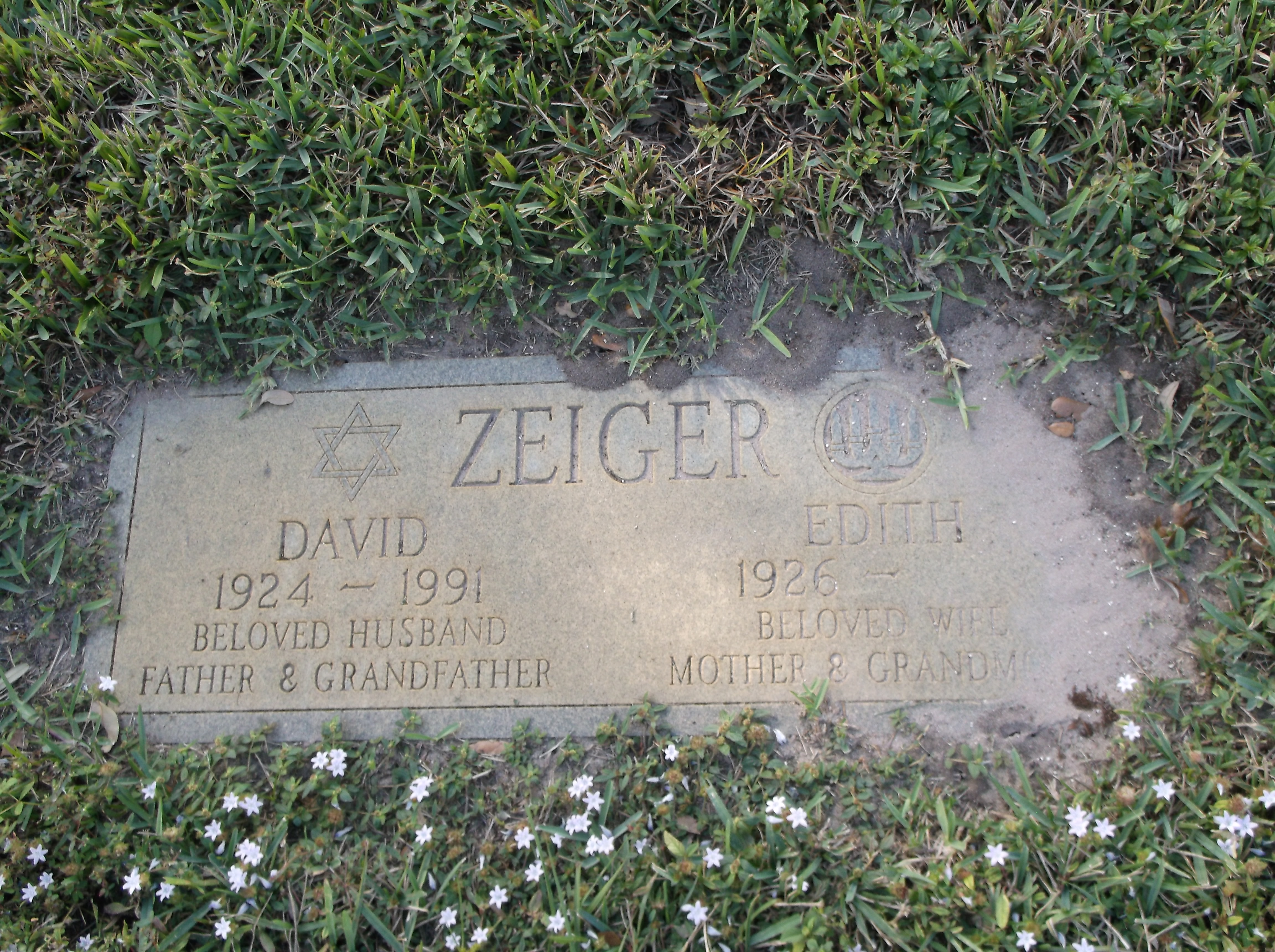 David Zeiger