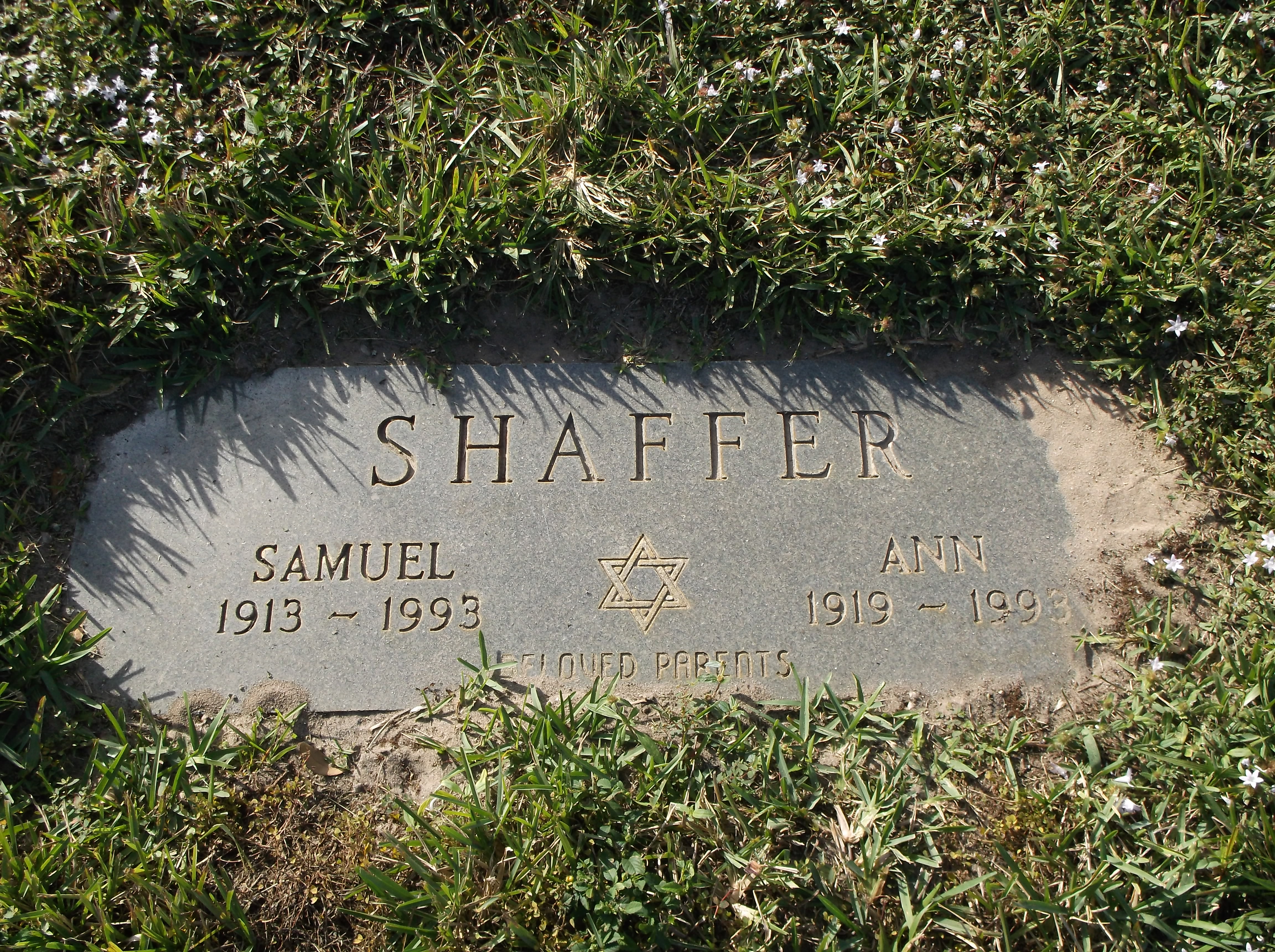 Samuel Shaffer