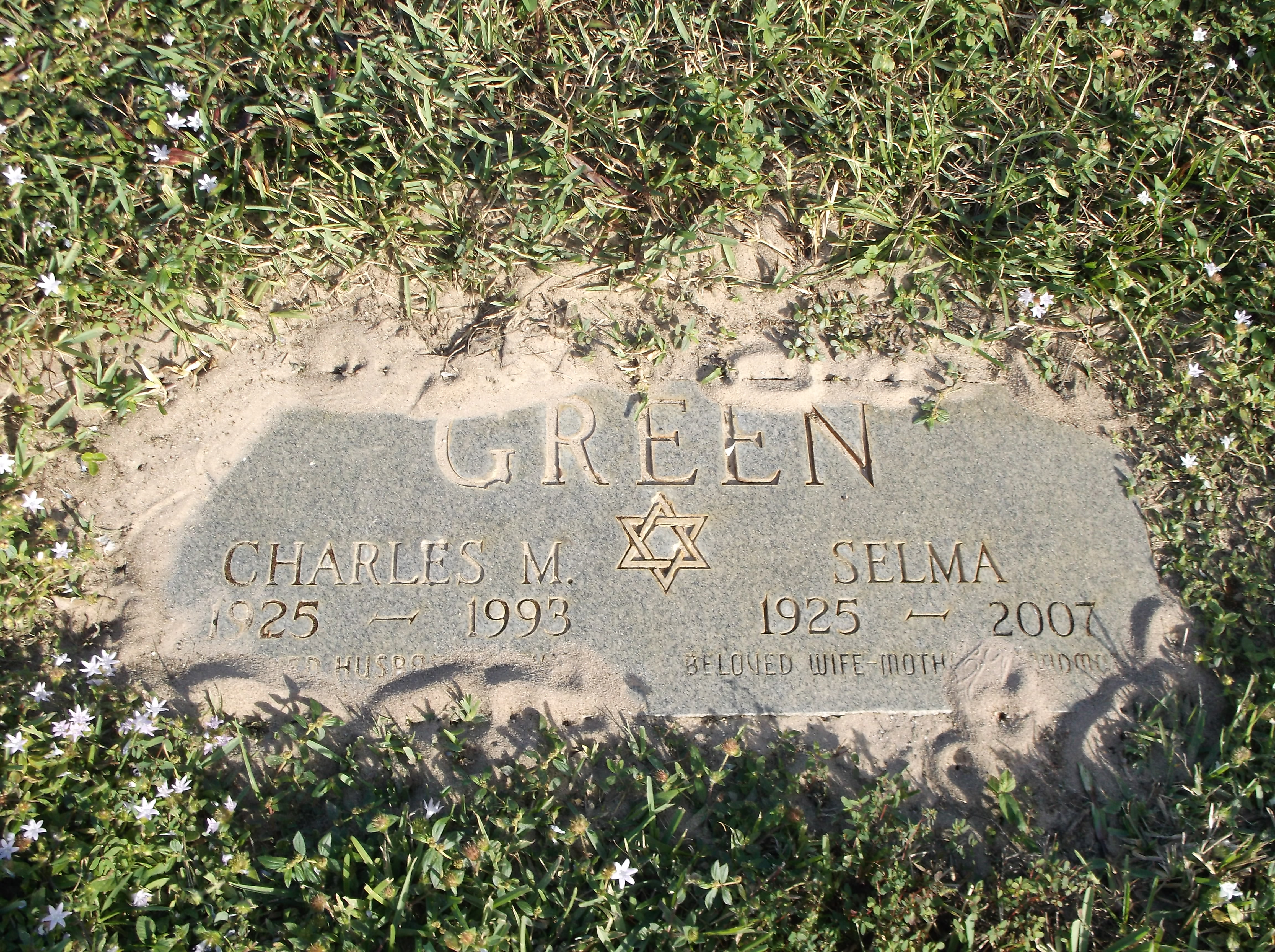 Charles M Green