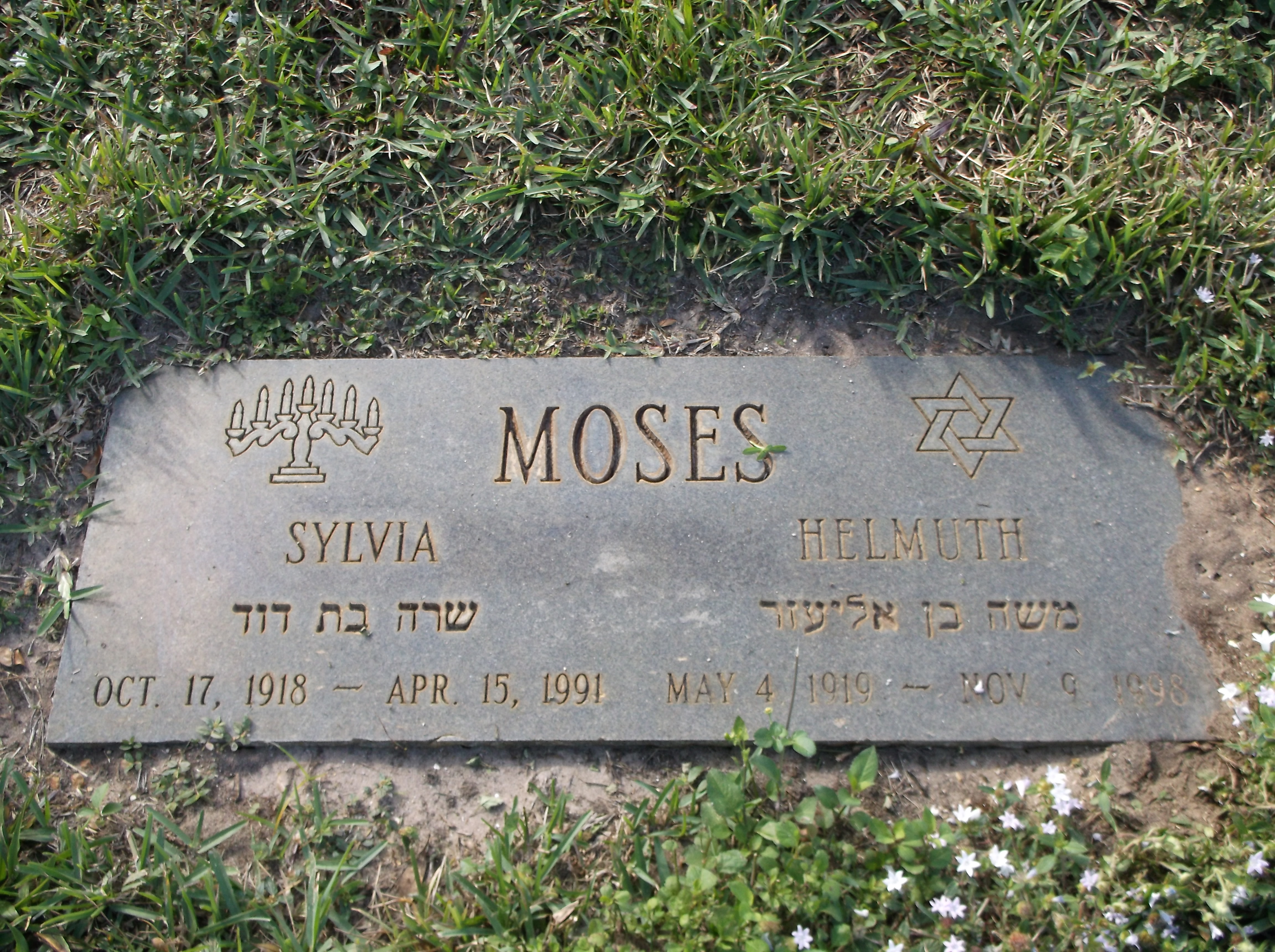 Helmuth Moses