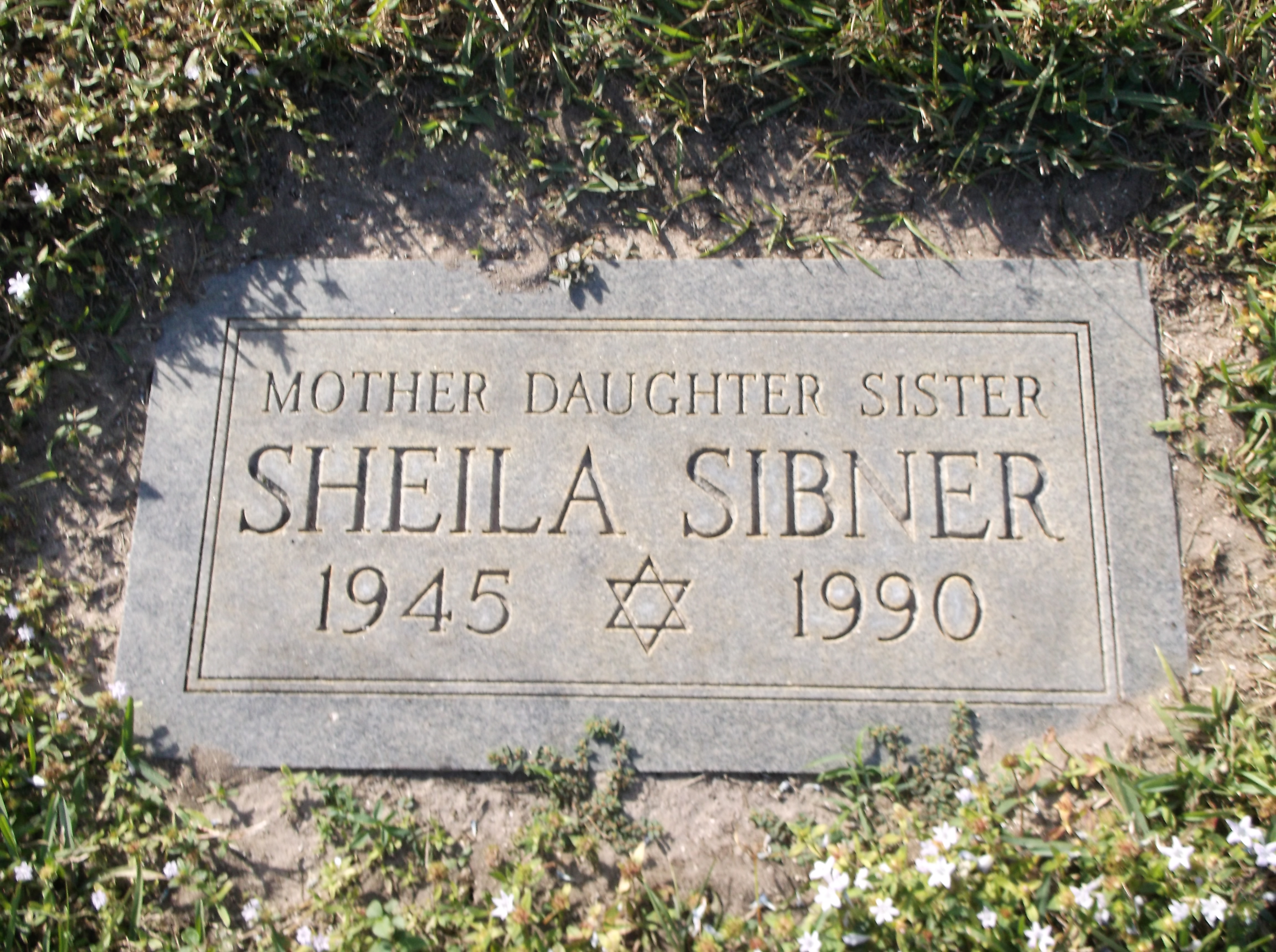 Sheila Sibner