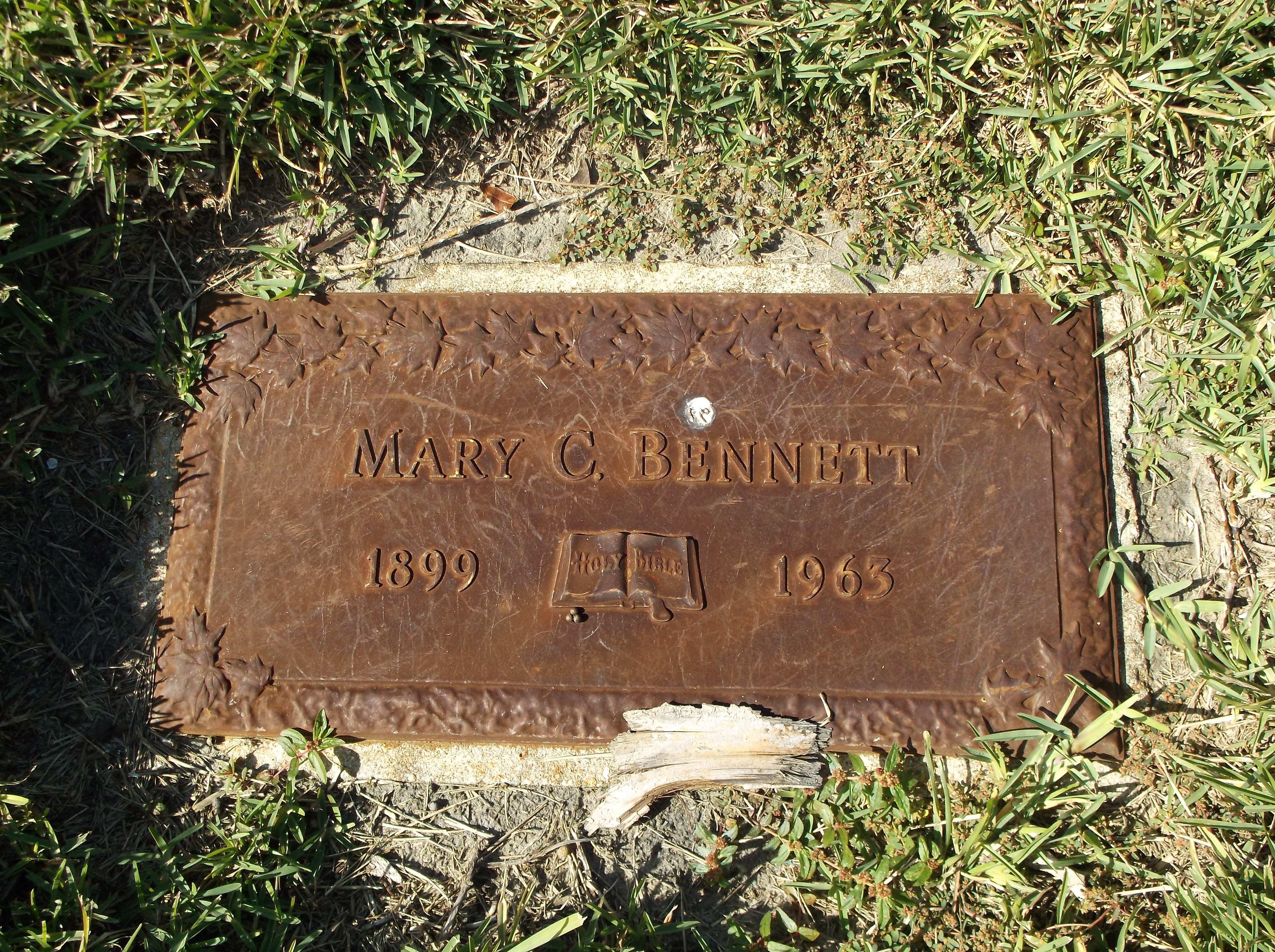 Mary C Bennett