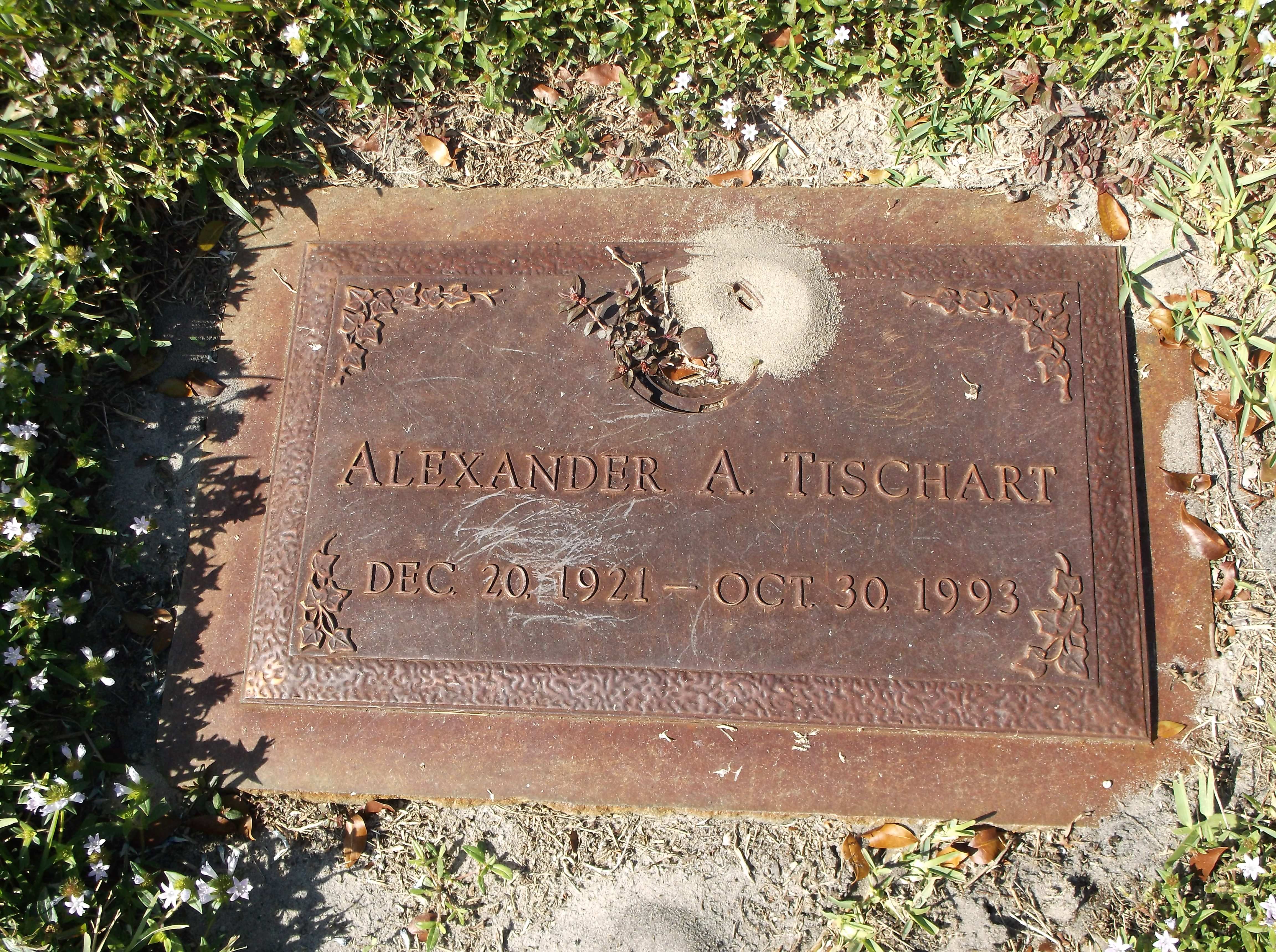 Alexander A Tischart