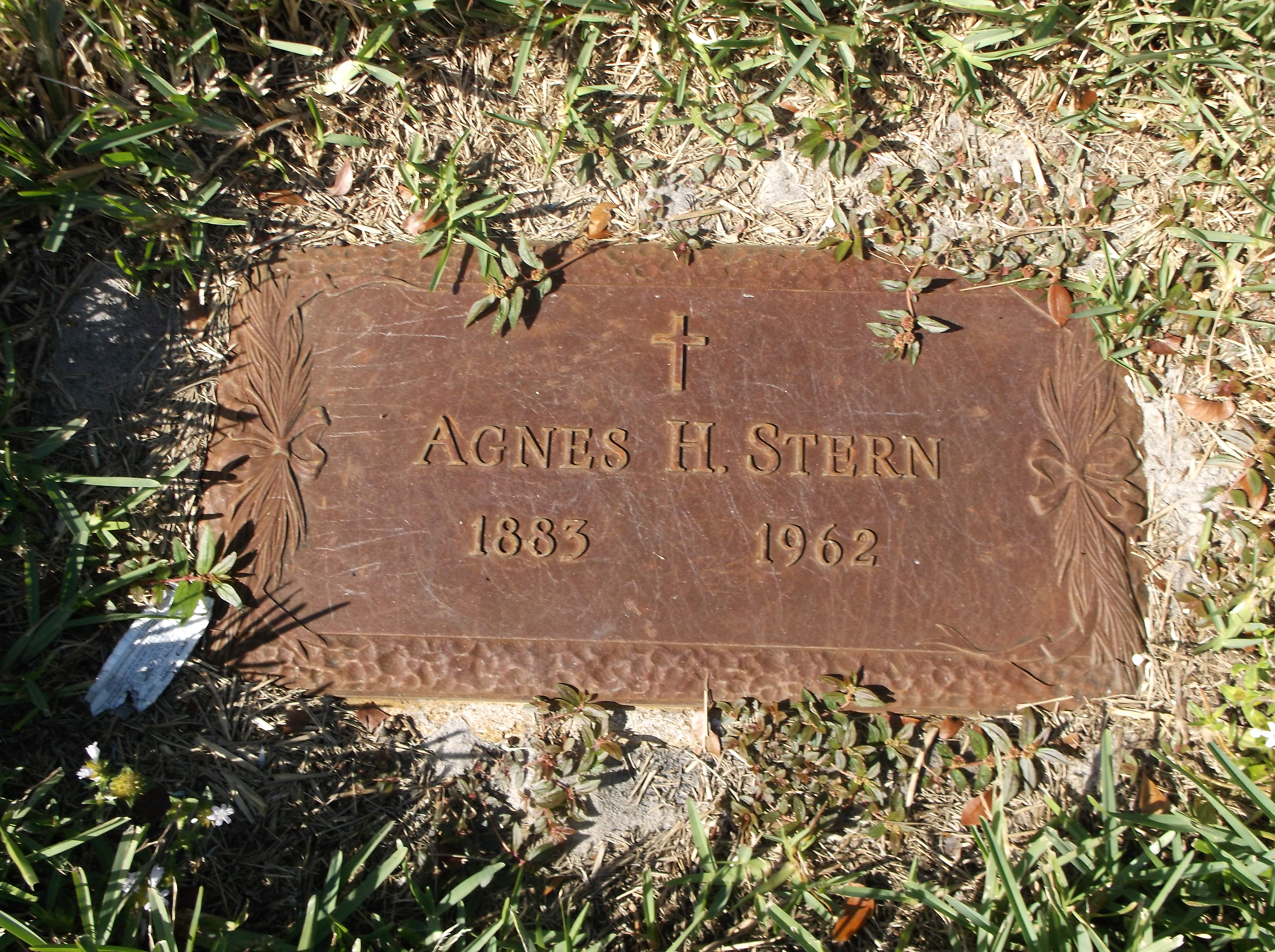 Agnes H Stern