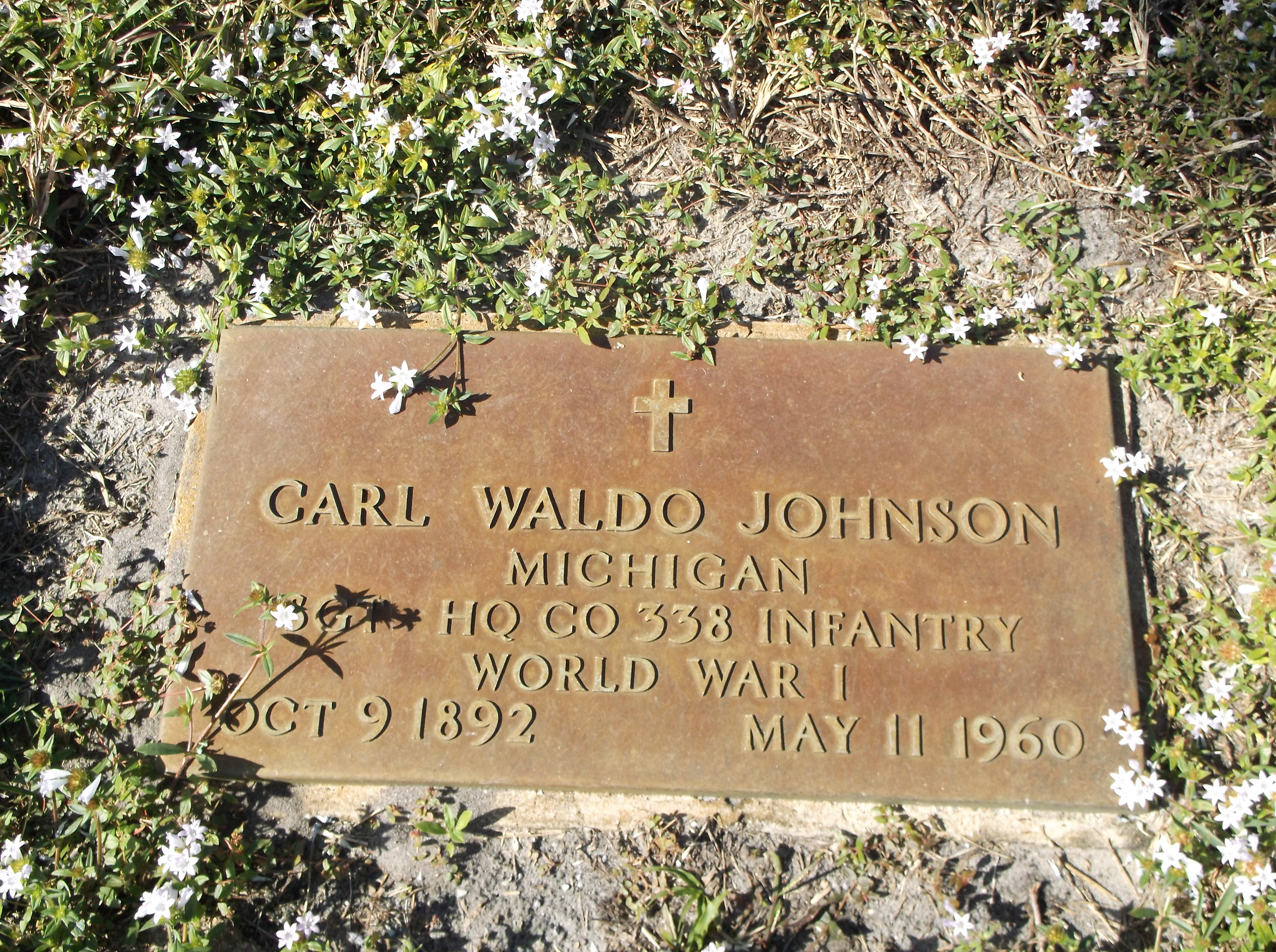 Carl Waldo Johnson