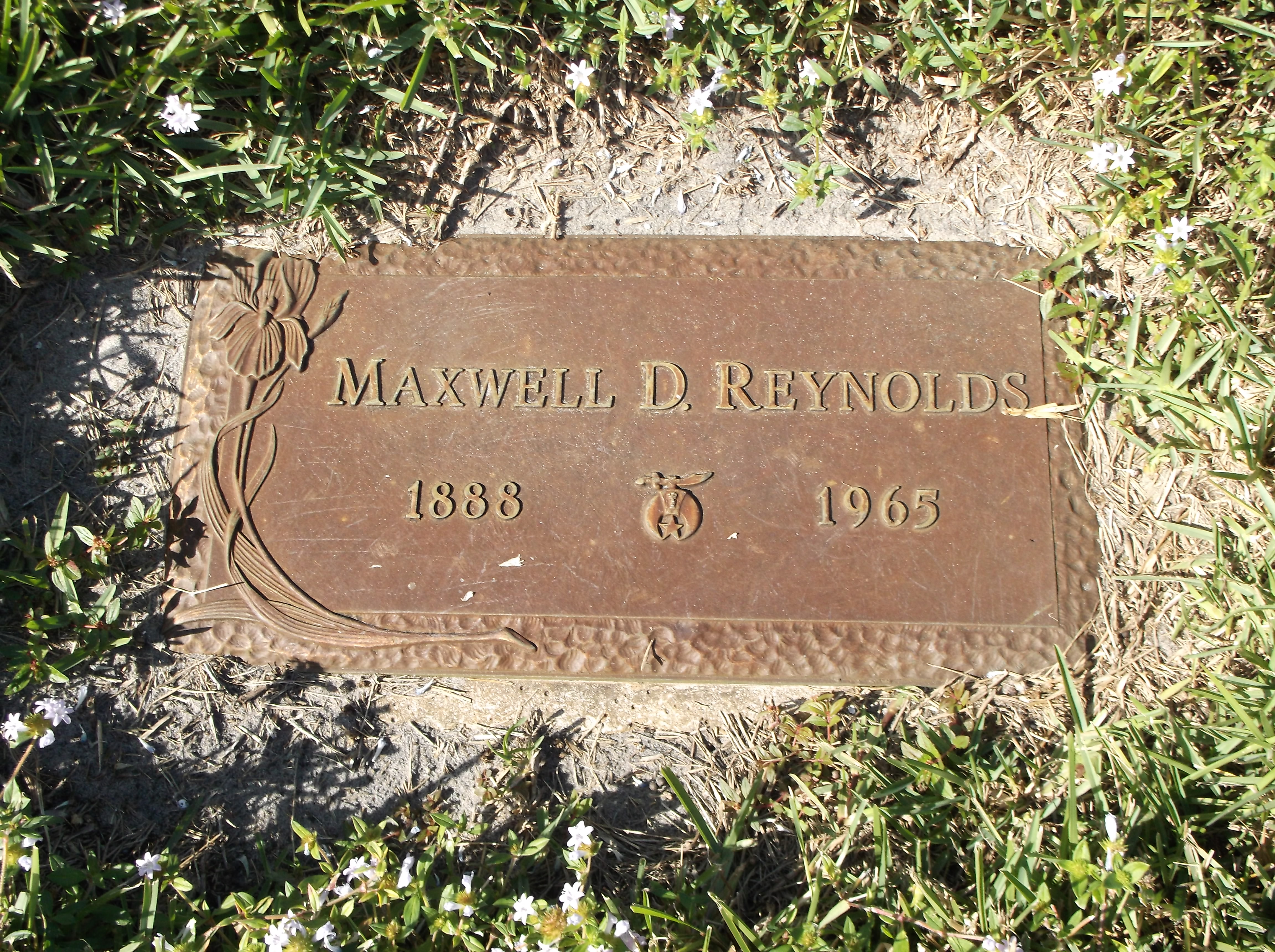 Maxwell D Reynolds