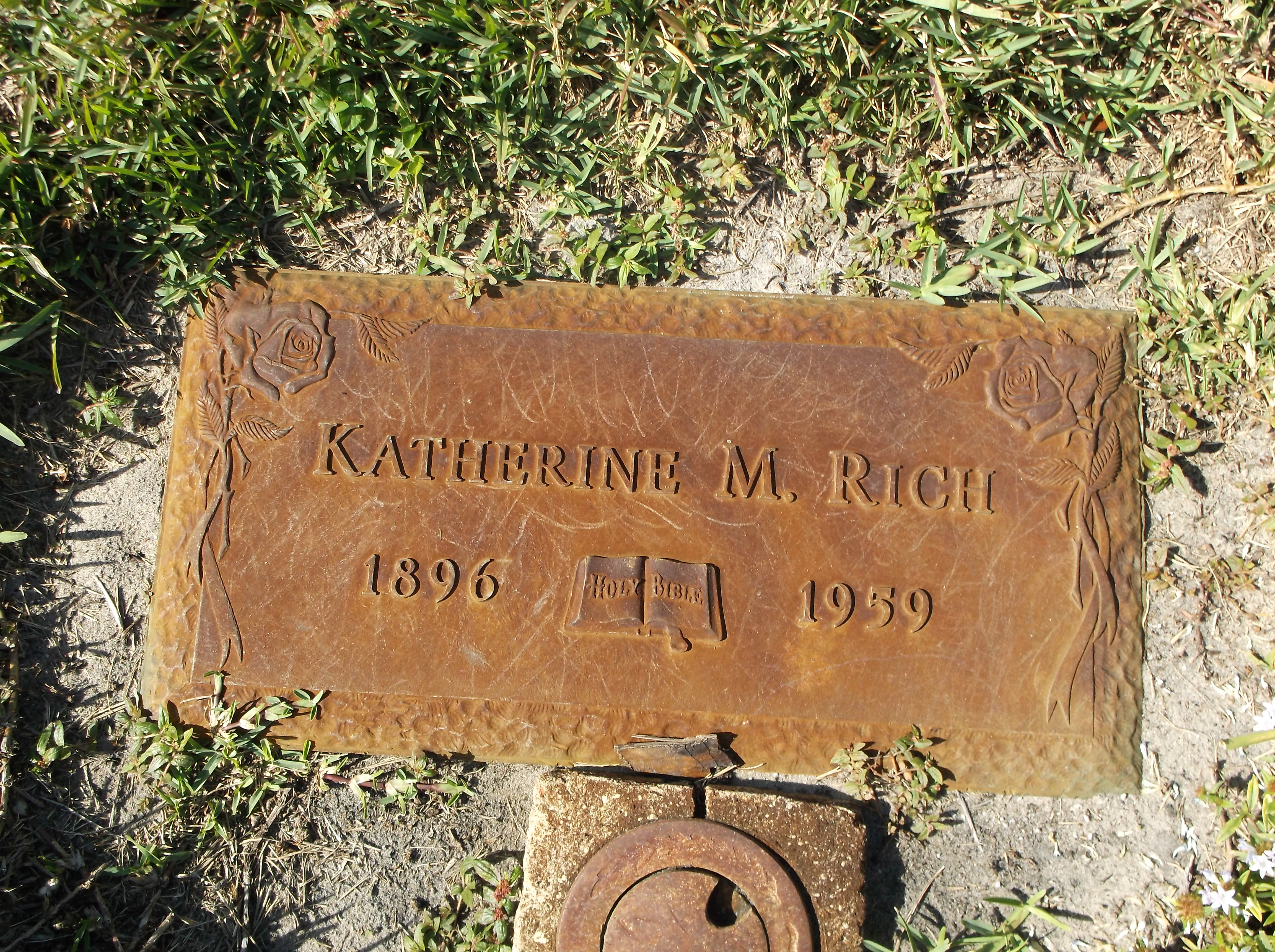 Katherine M Rich