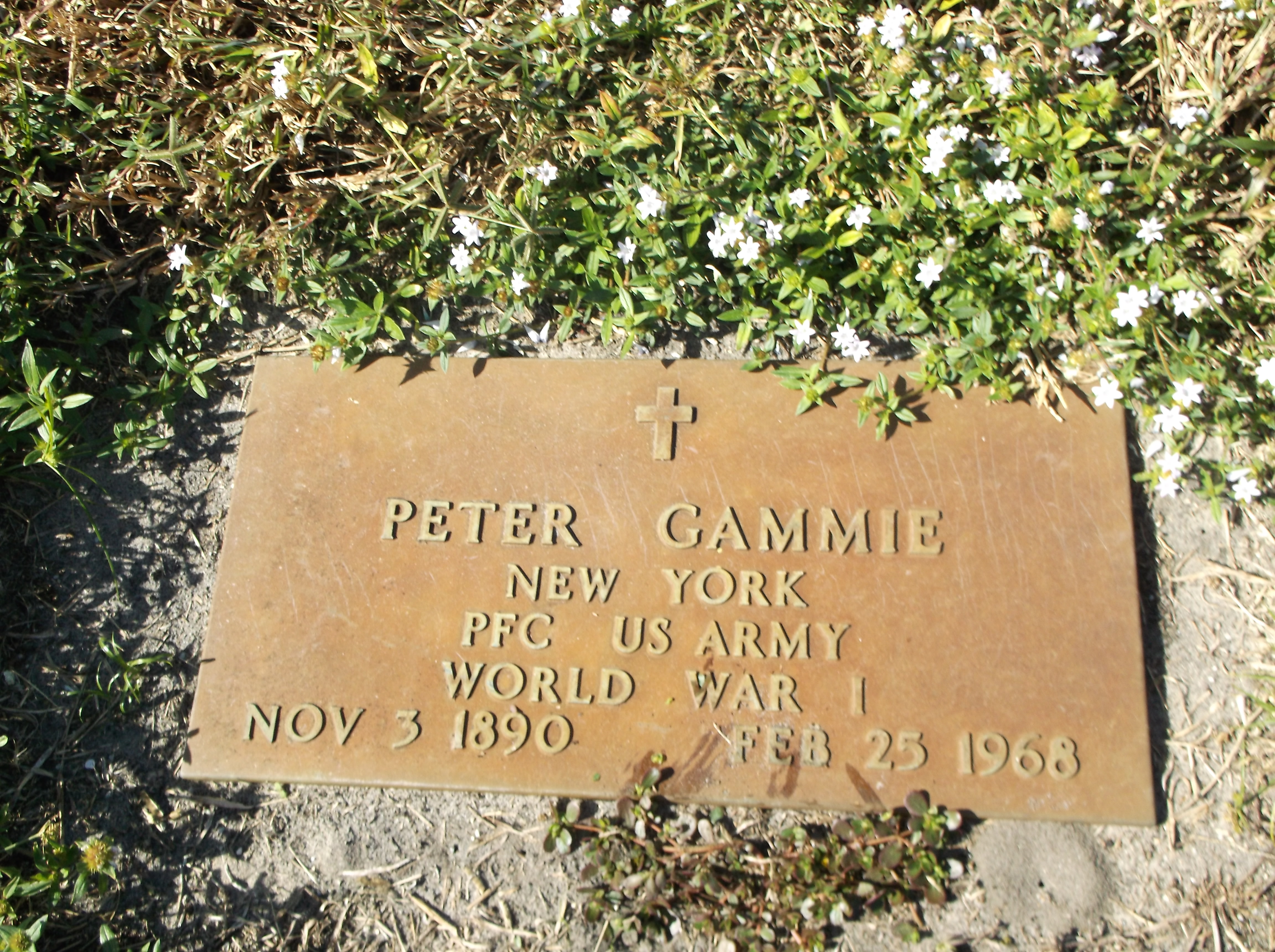 Peter Gammie