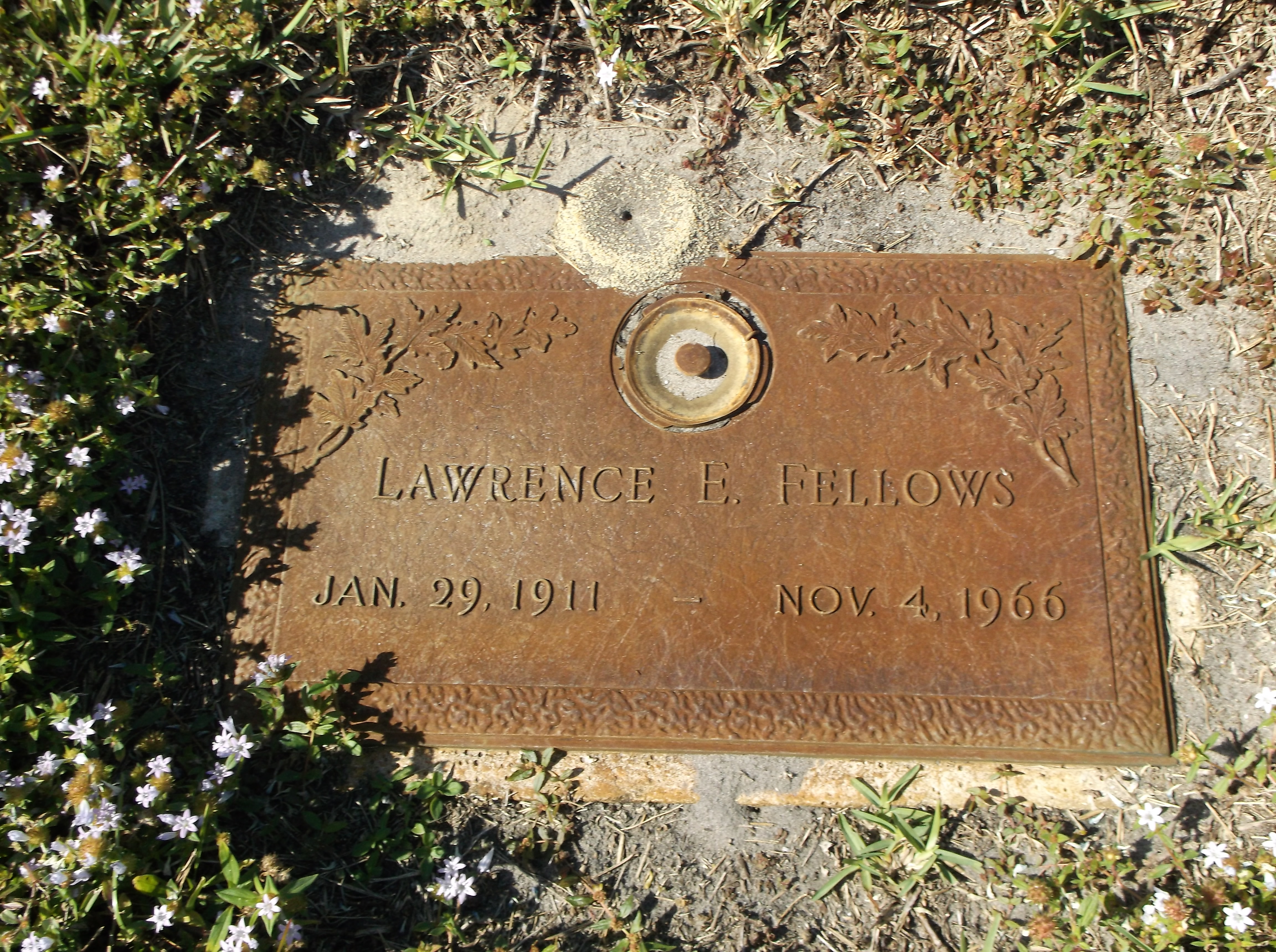 Lawrence E Fellows