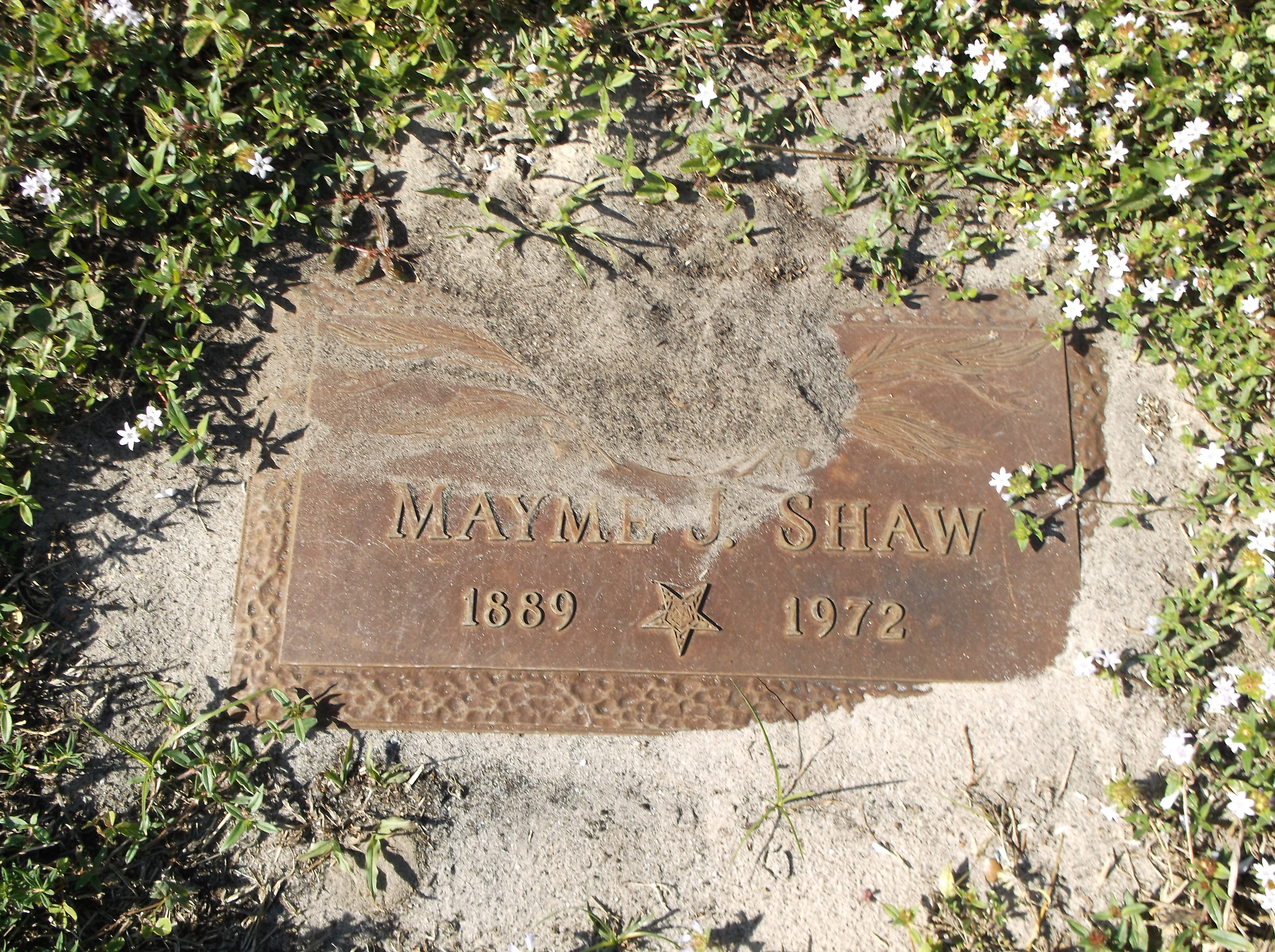 Mayme J Shaw