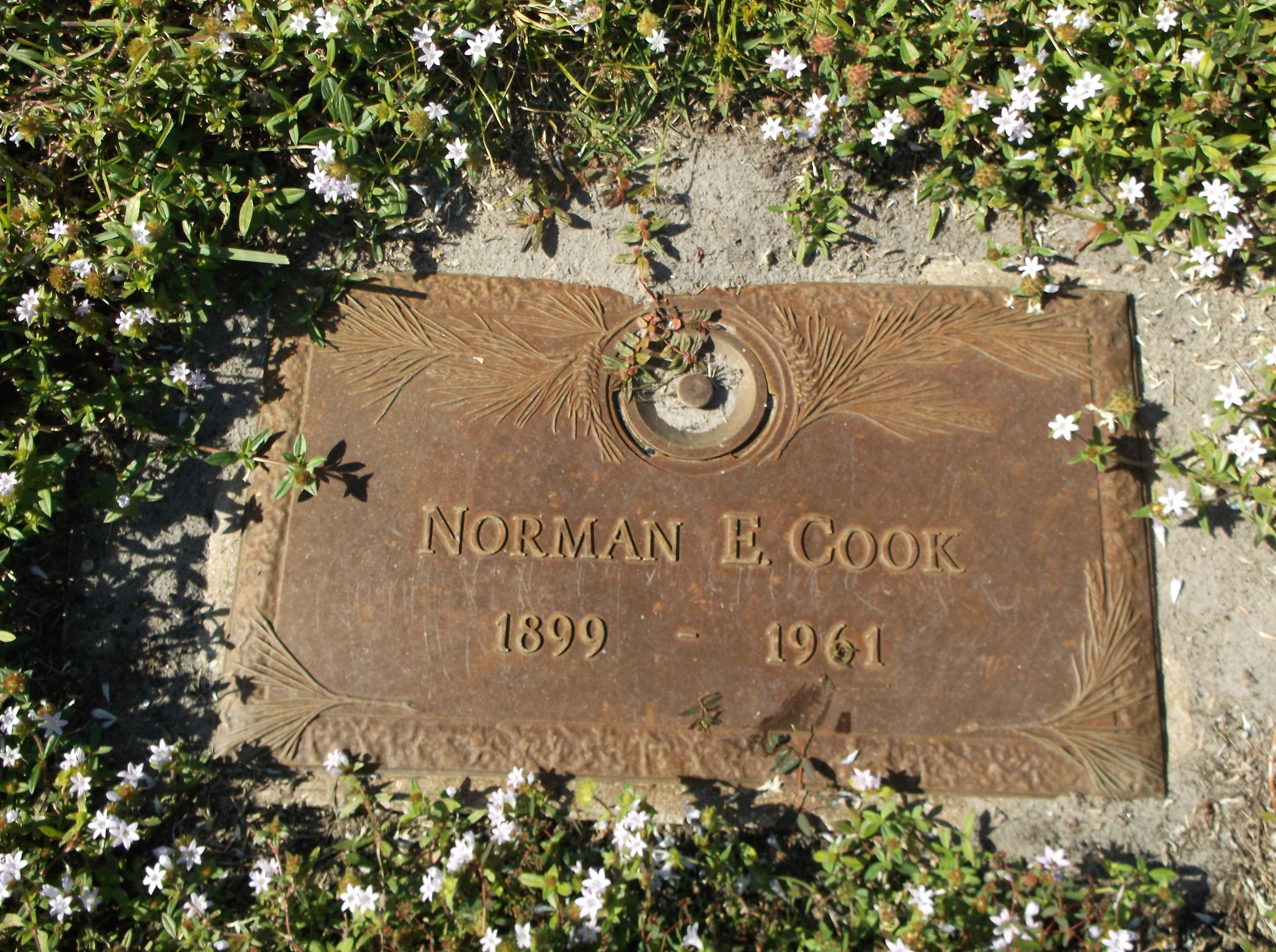 Norman E Cook