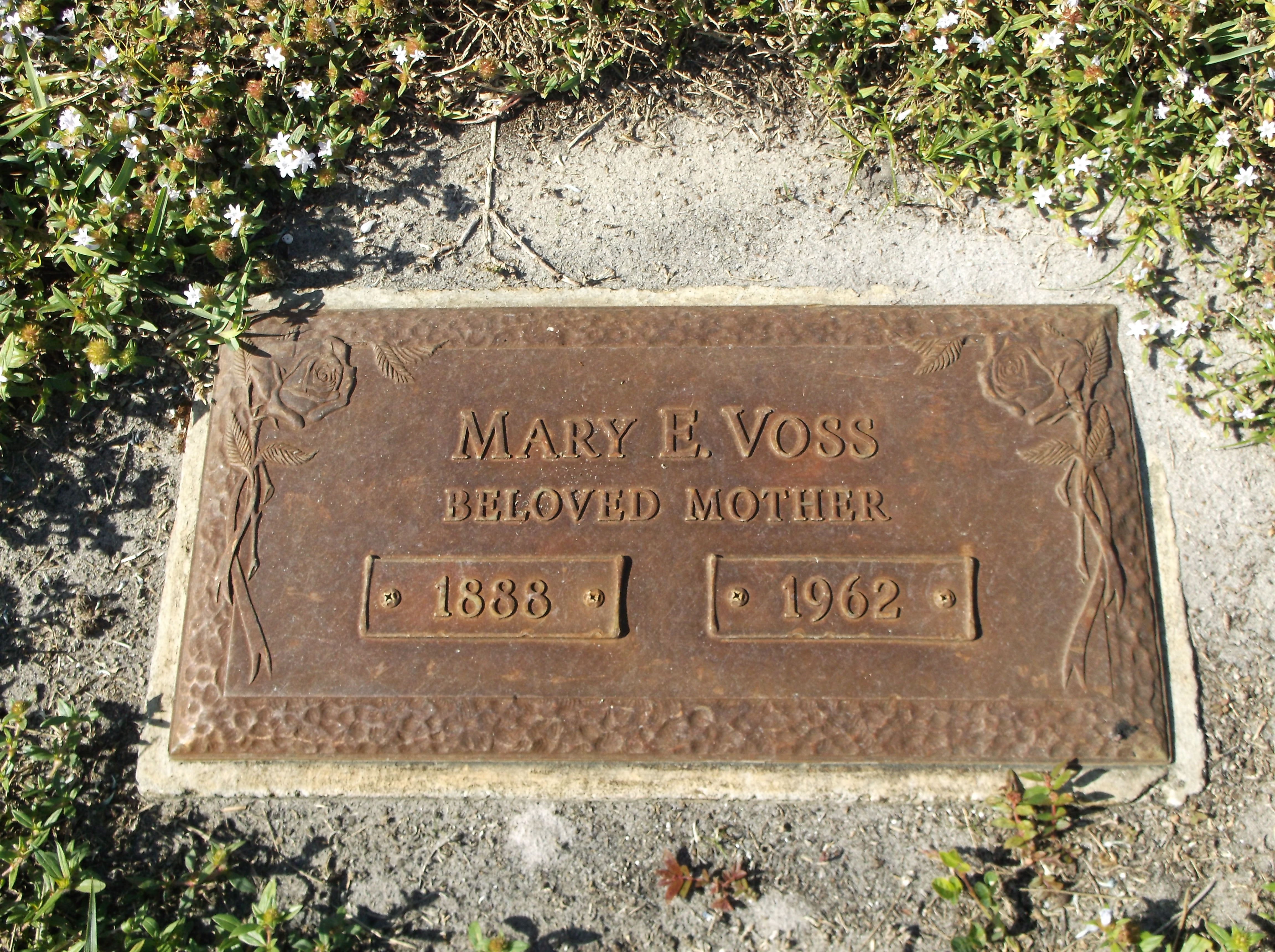 Mary E Voss