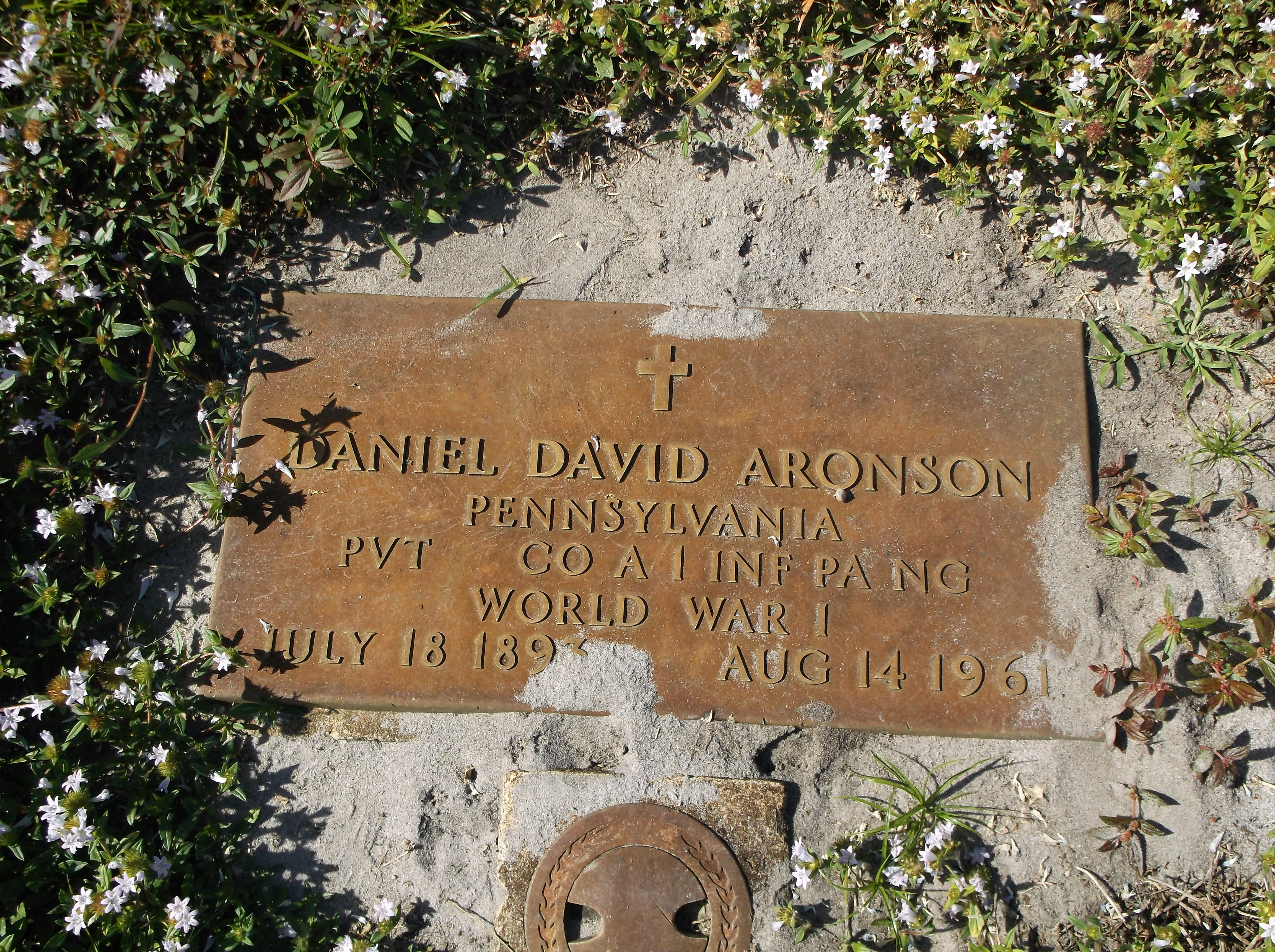 Daniel David Aronson