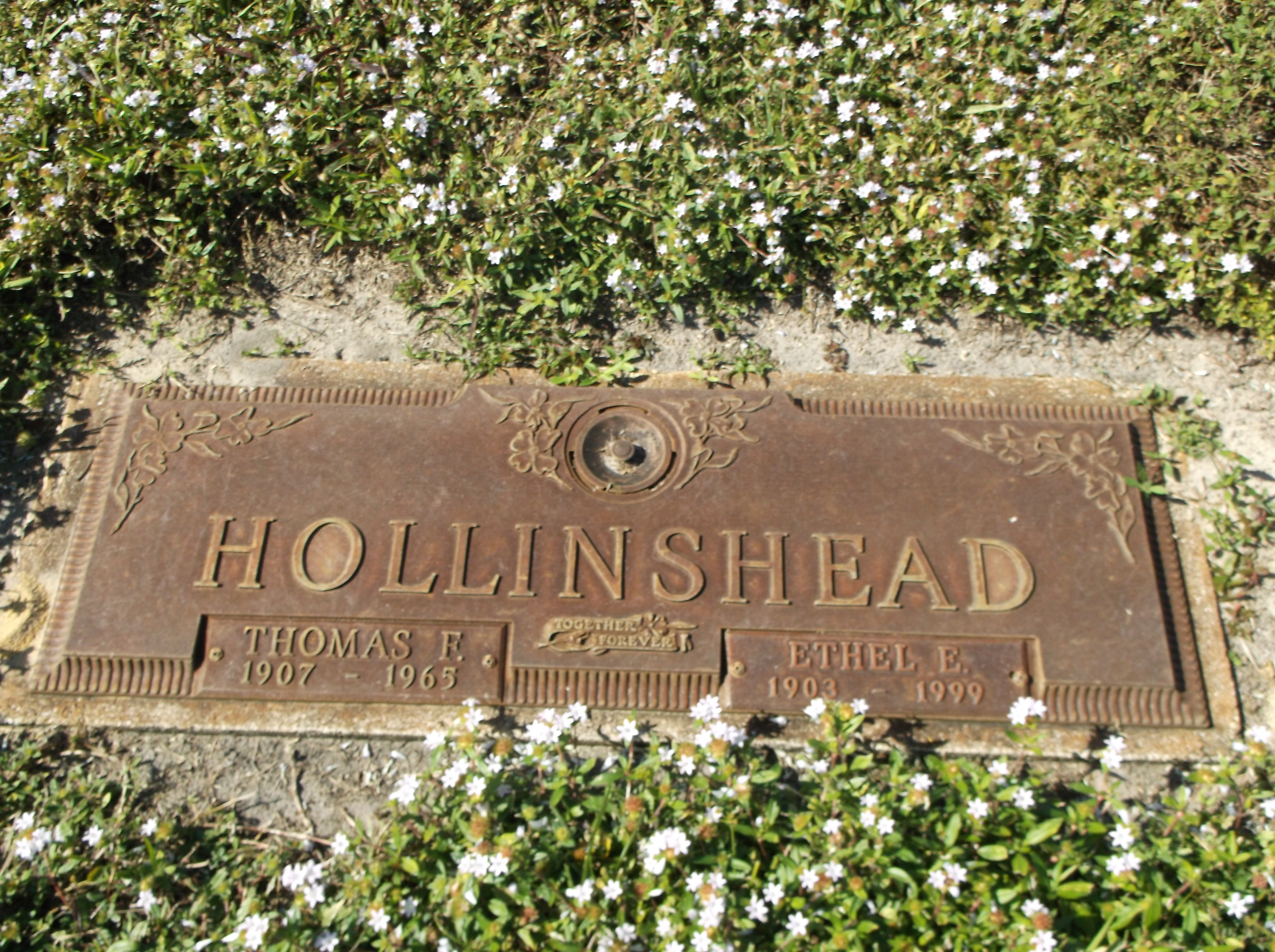 Thomas F Hollinshead
