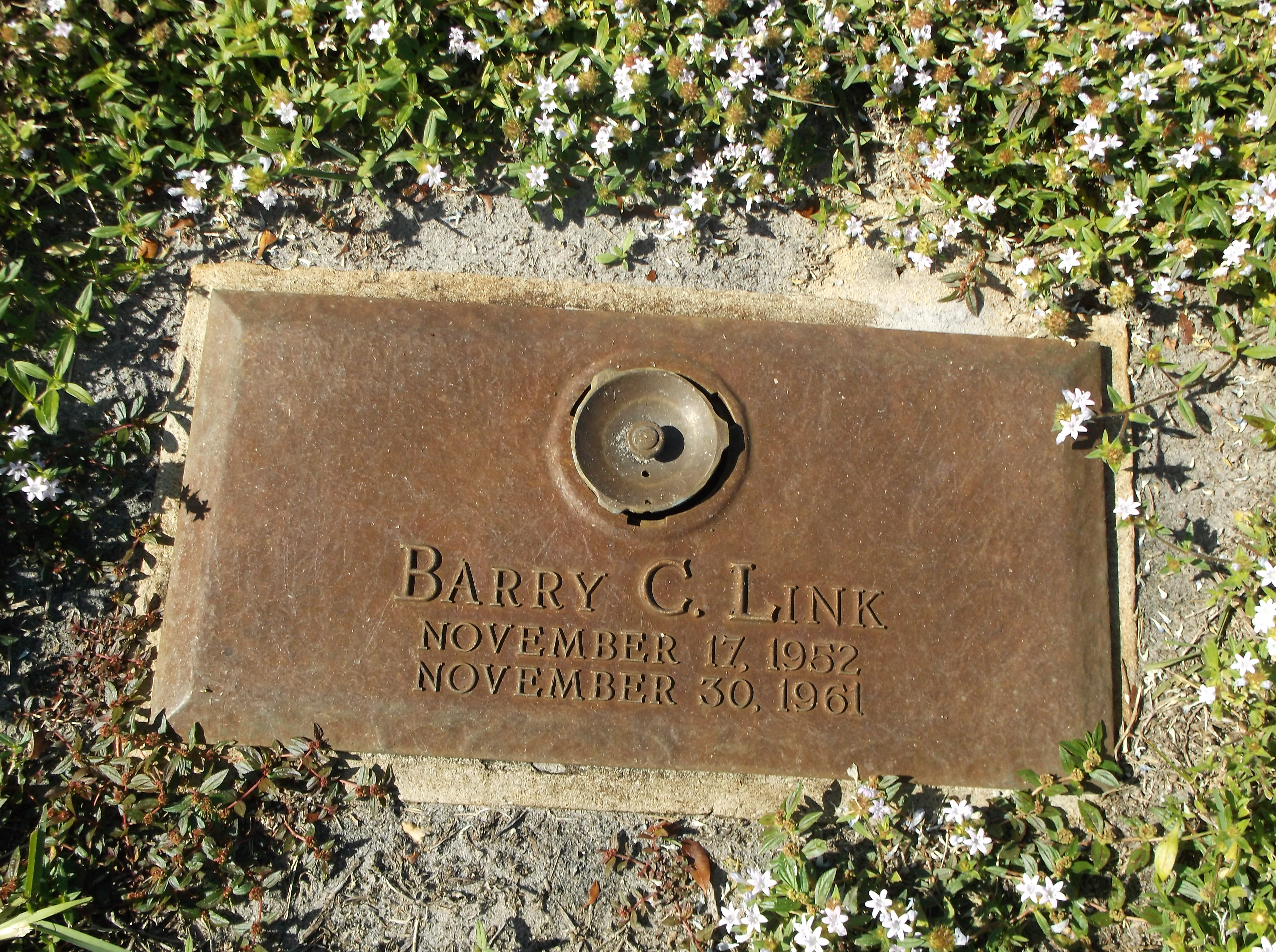 Barry C Link