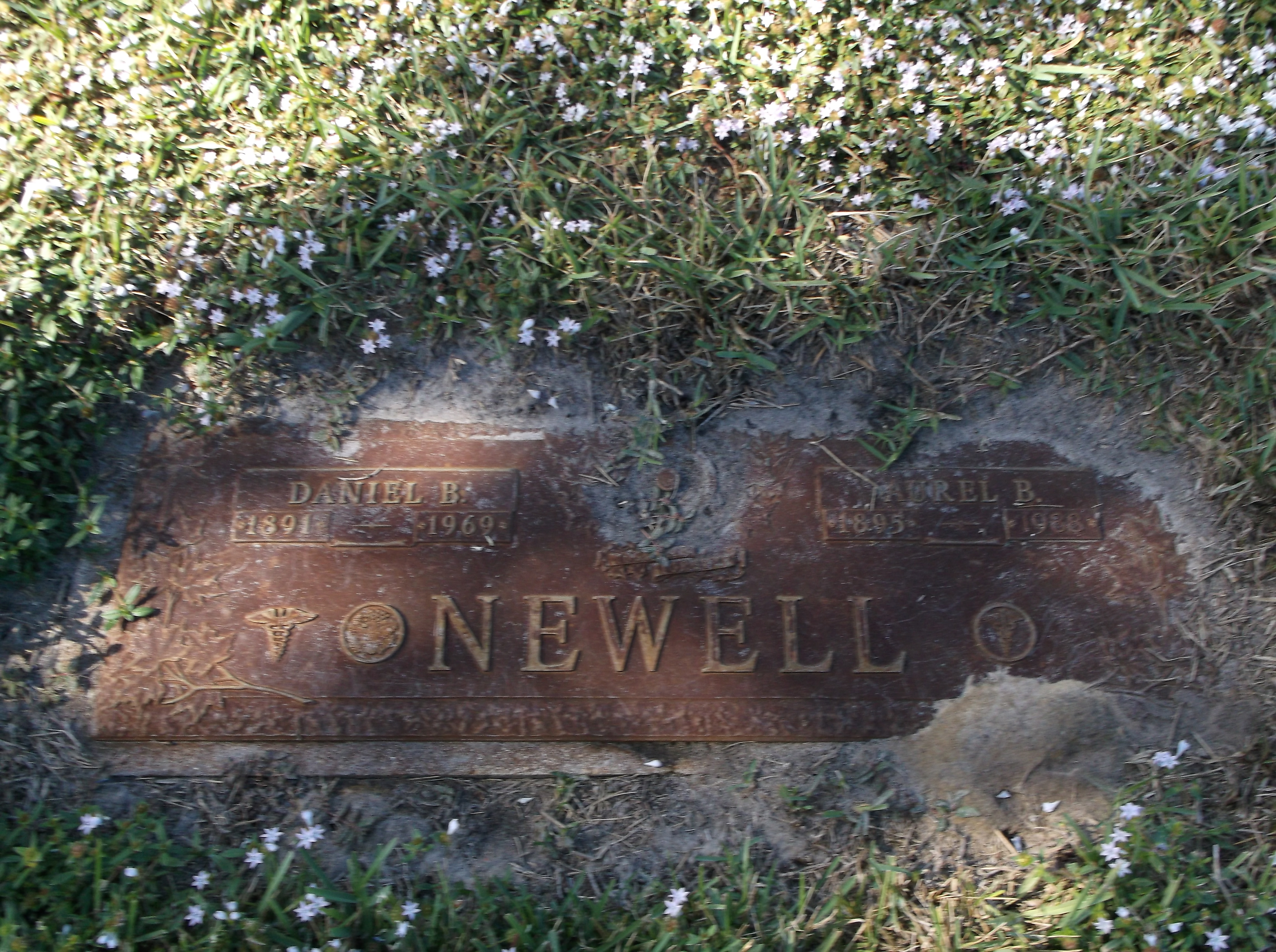 Daniel B Newell