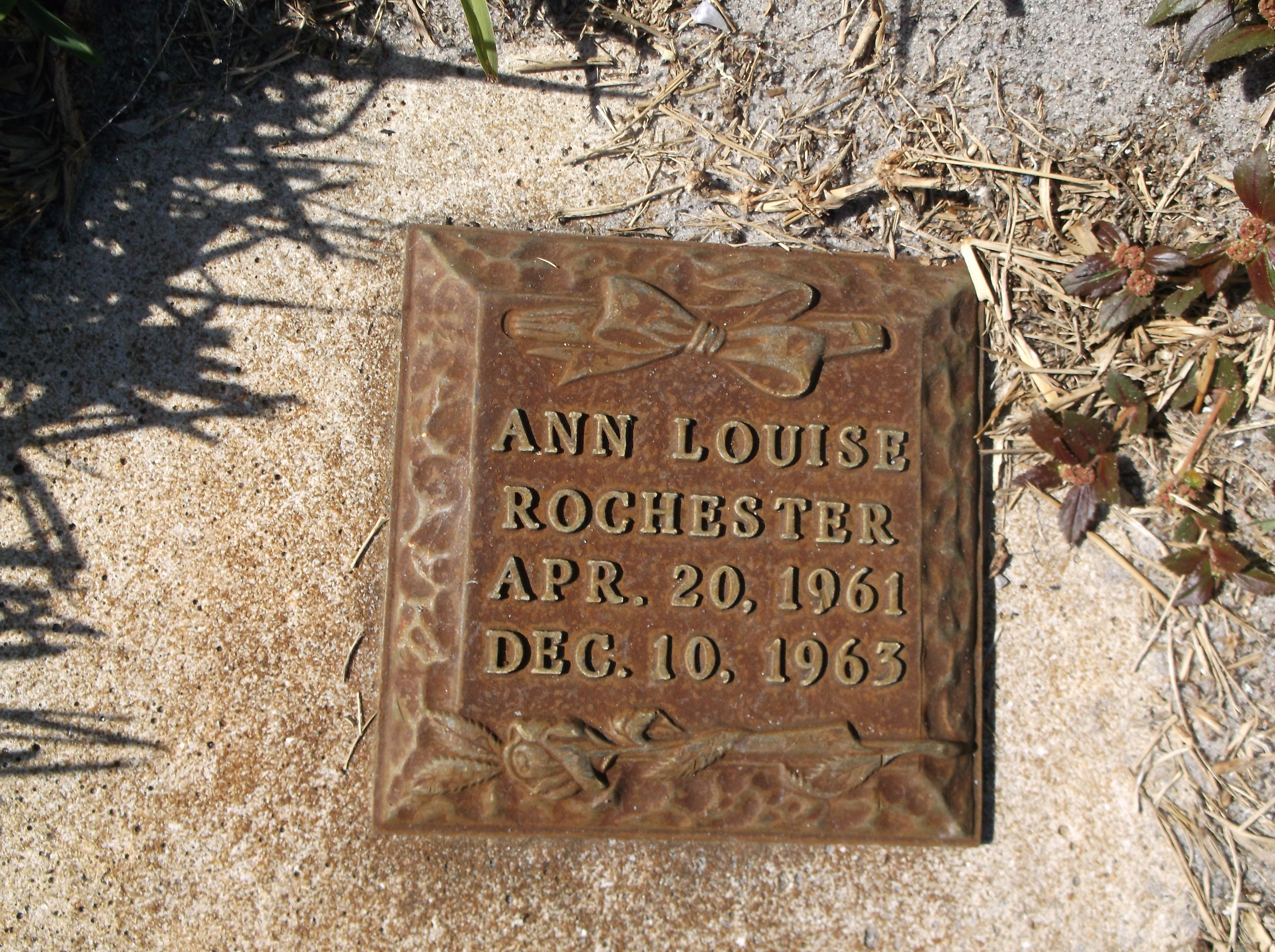 Ann Louise Rochester