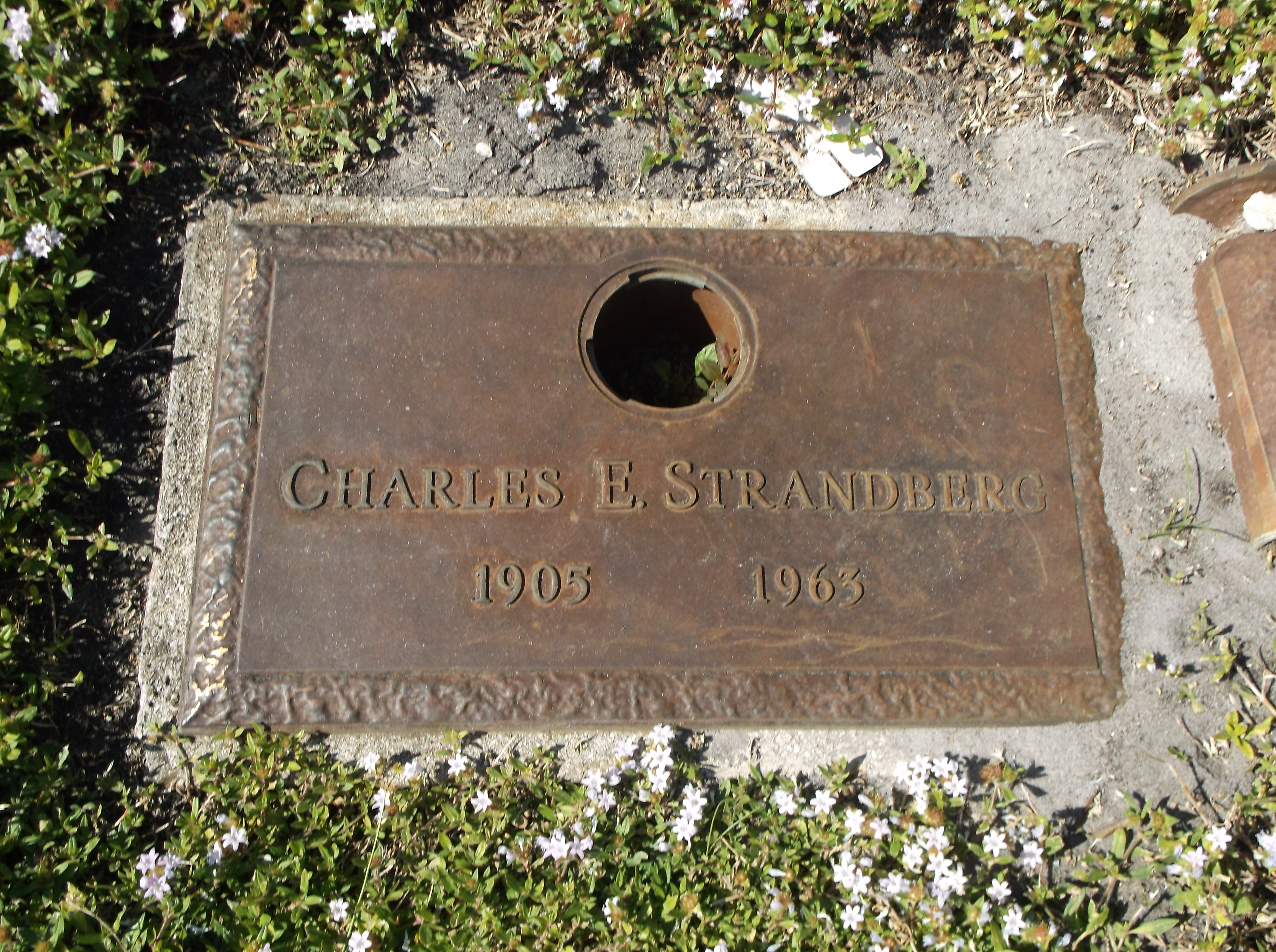 Charles E Strandberg