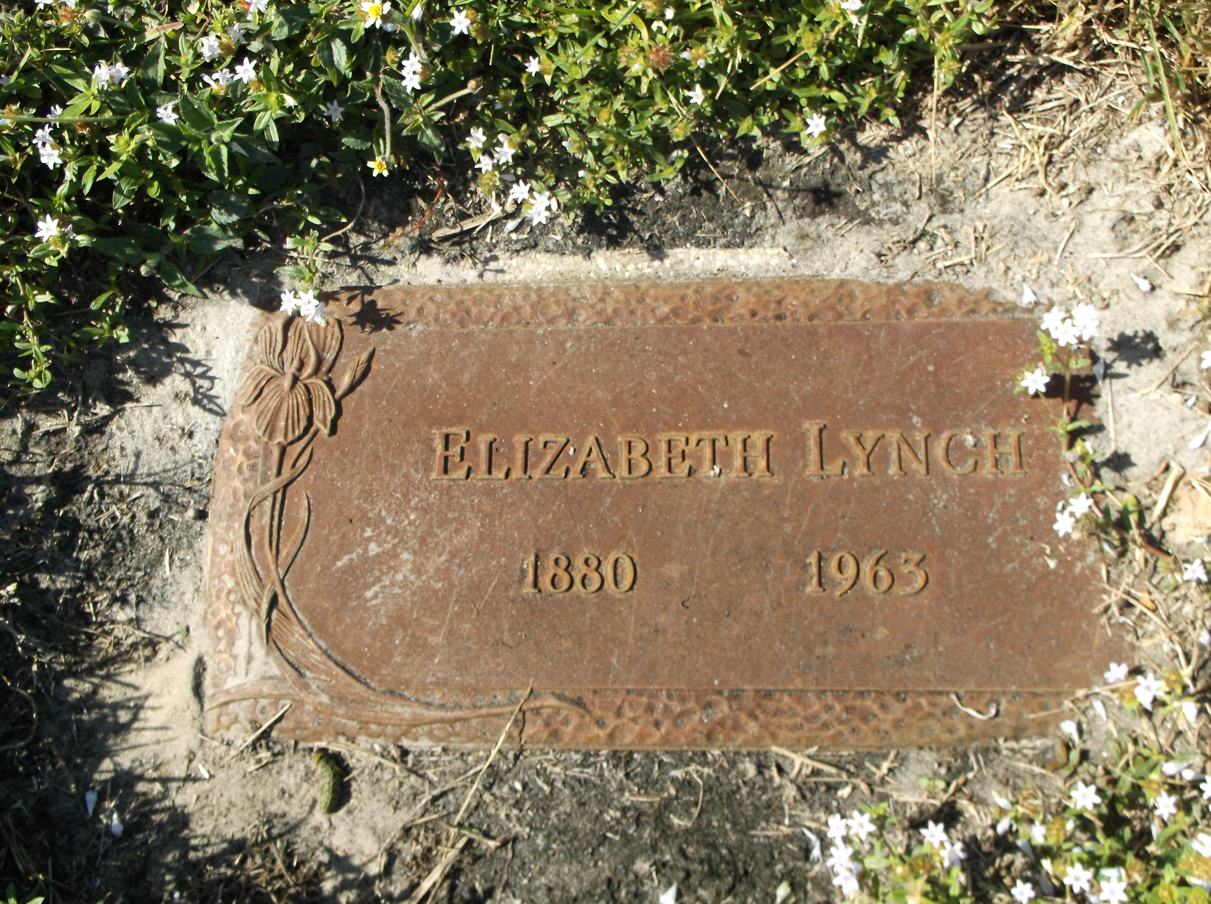 Elizabeth Lynch
