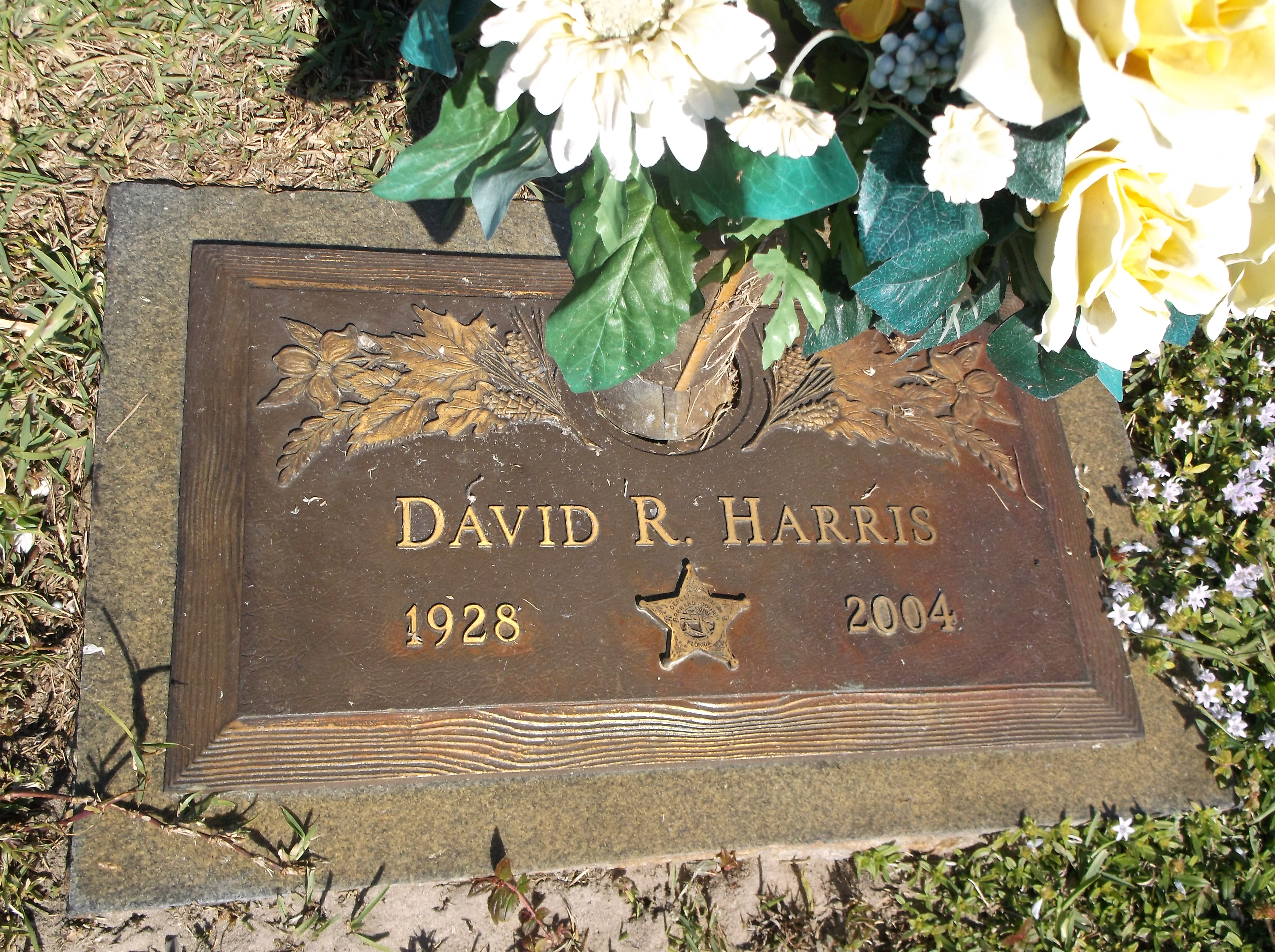 David R Harris