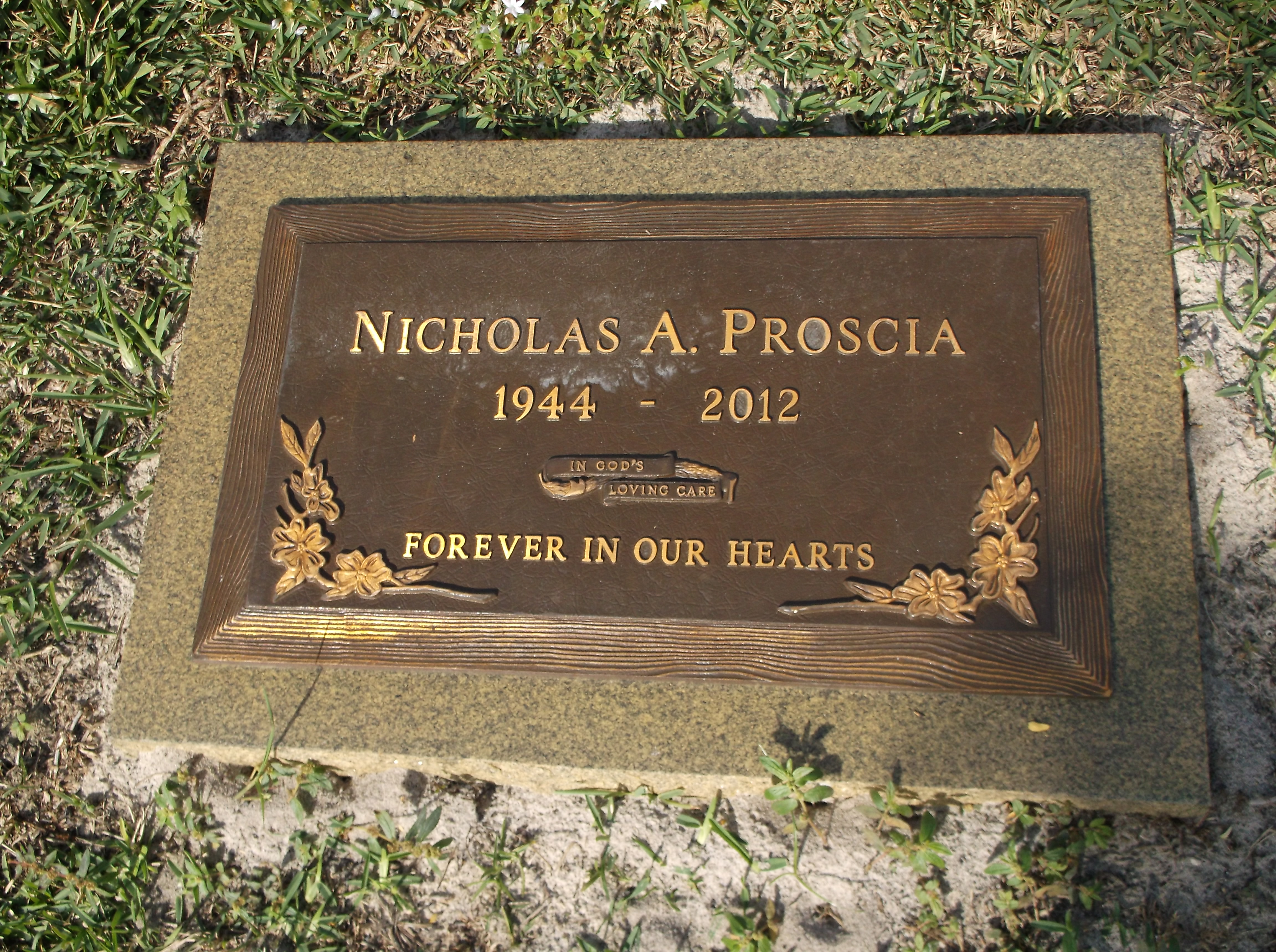 Nicholas A Proscia