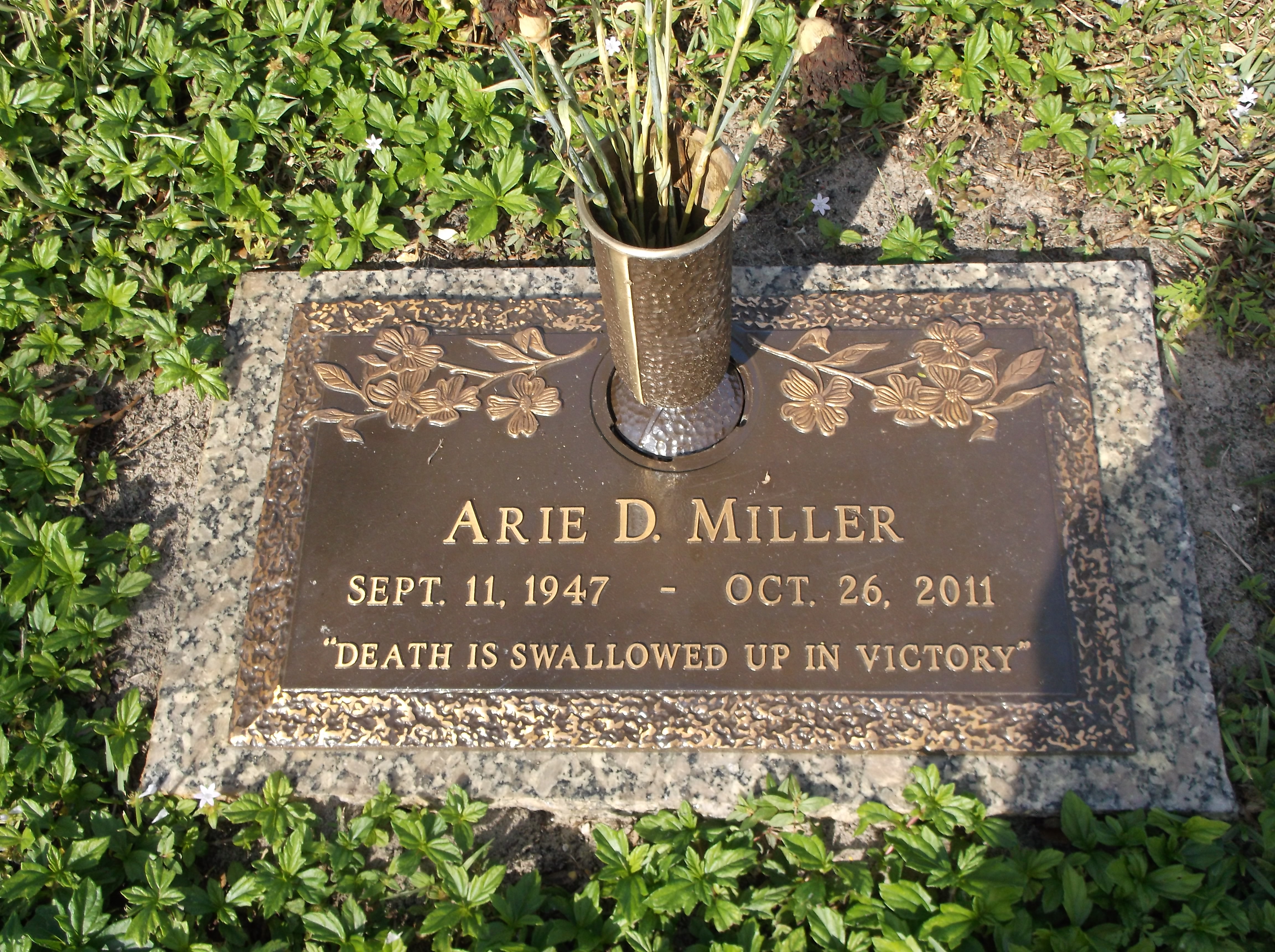 Arie D Miller