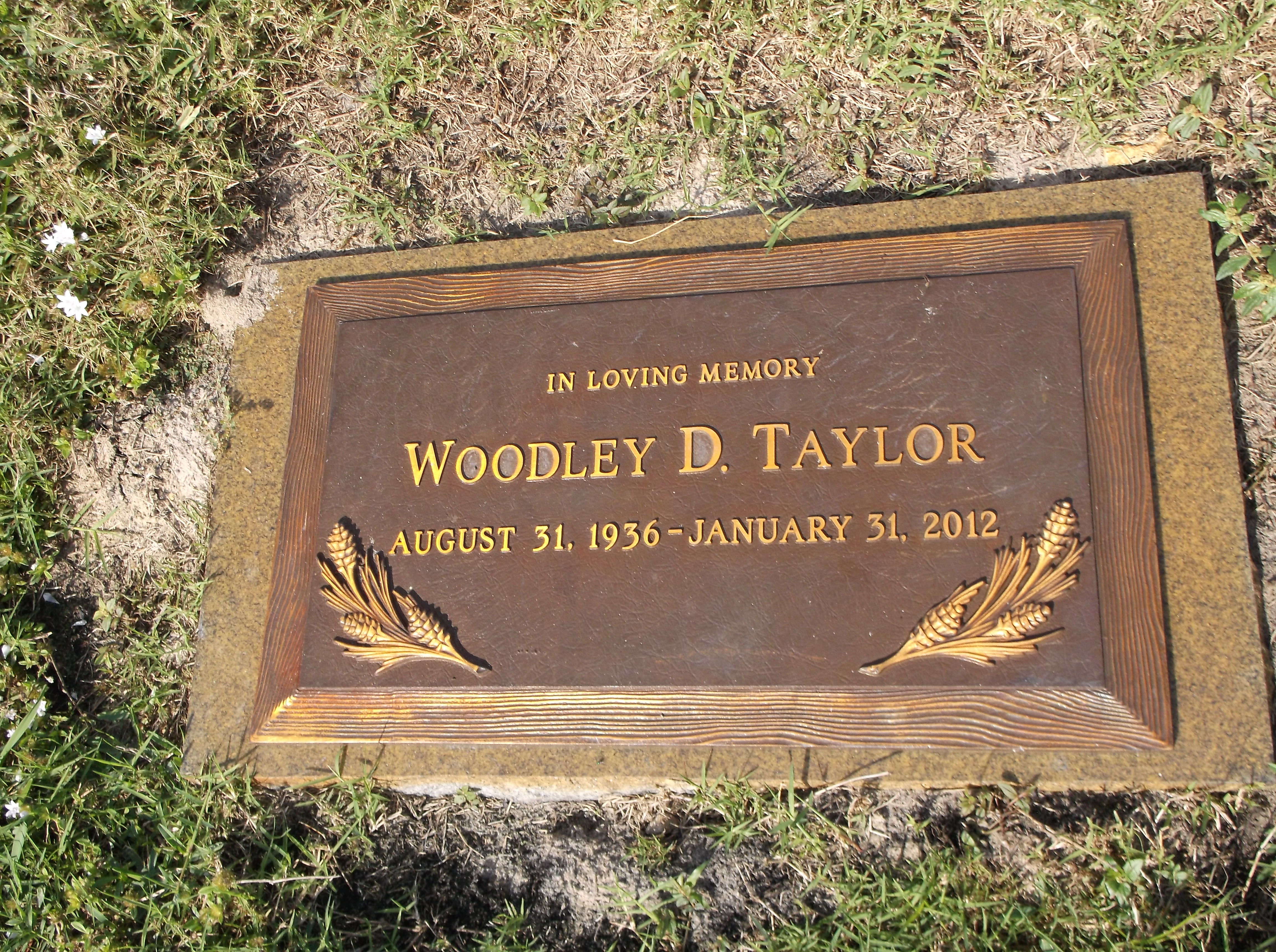 Woodley D Taylor