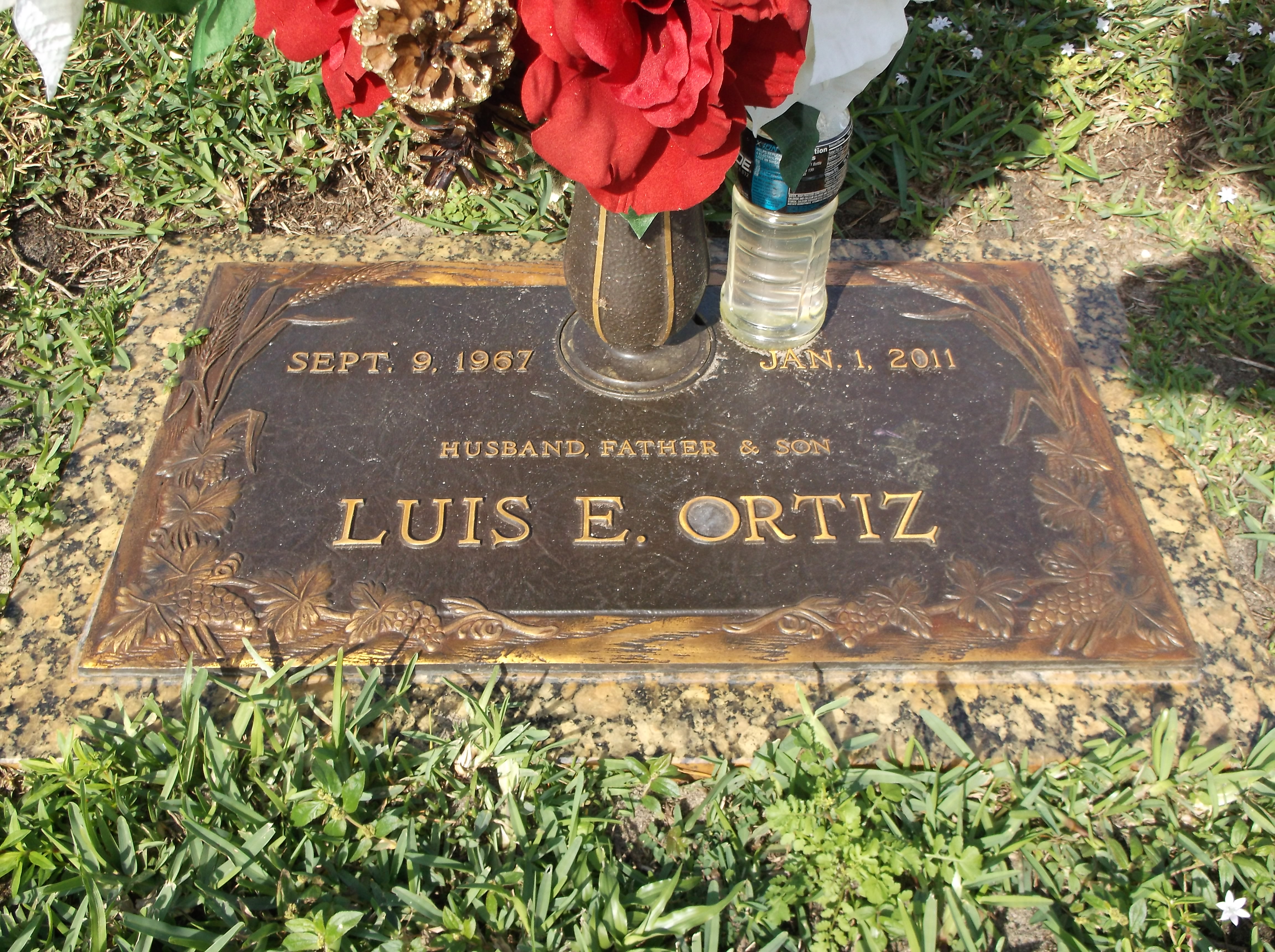 Luis E Ortiz