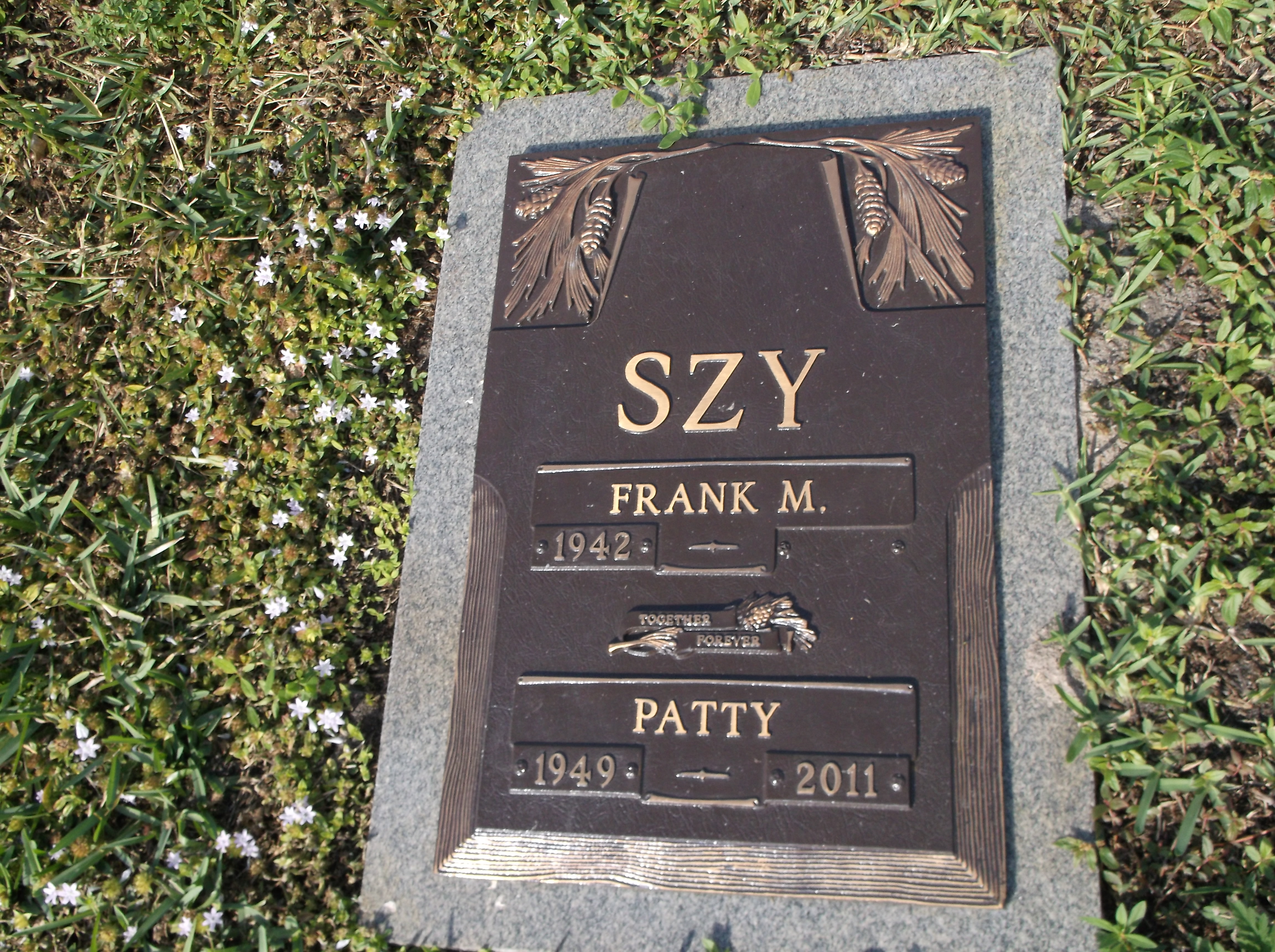 Frank M Szy