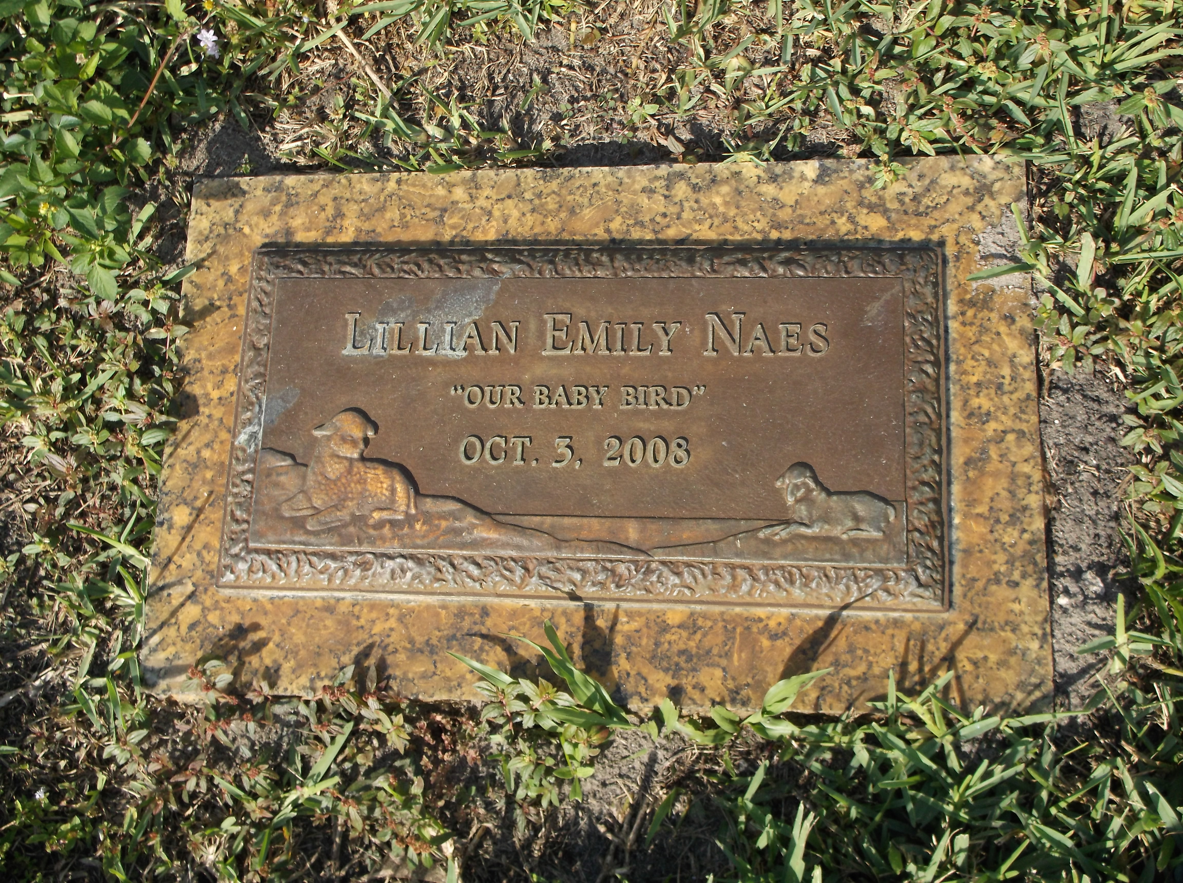 Lillian Emily Naes
