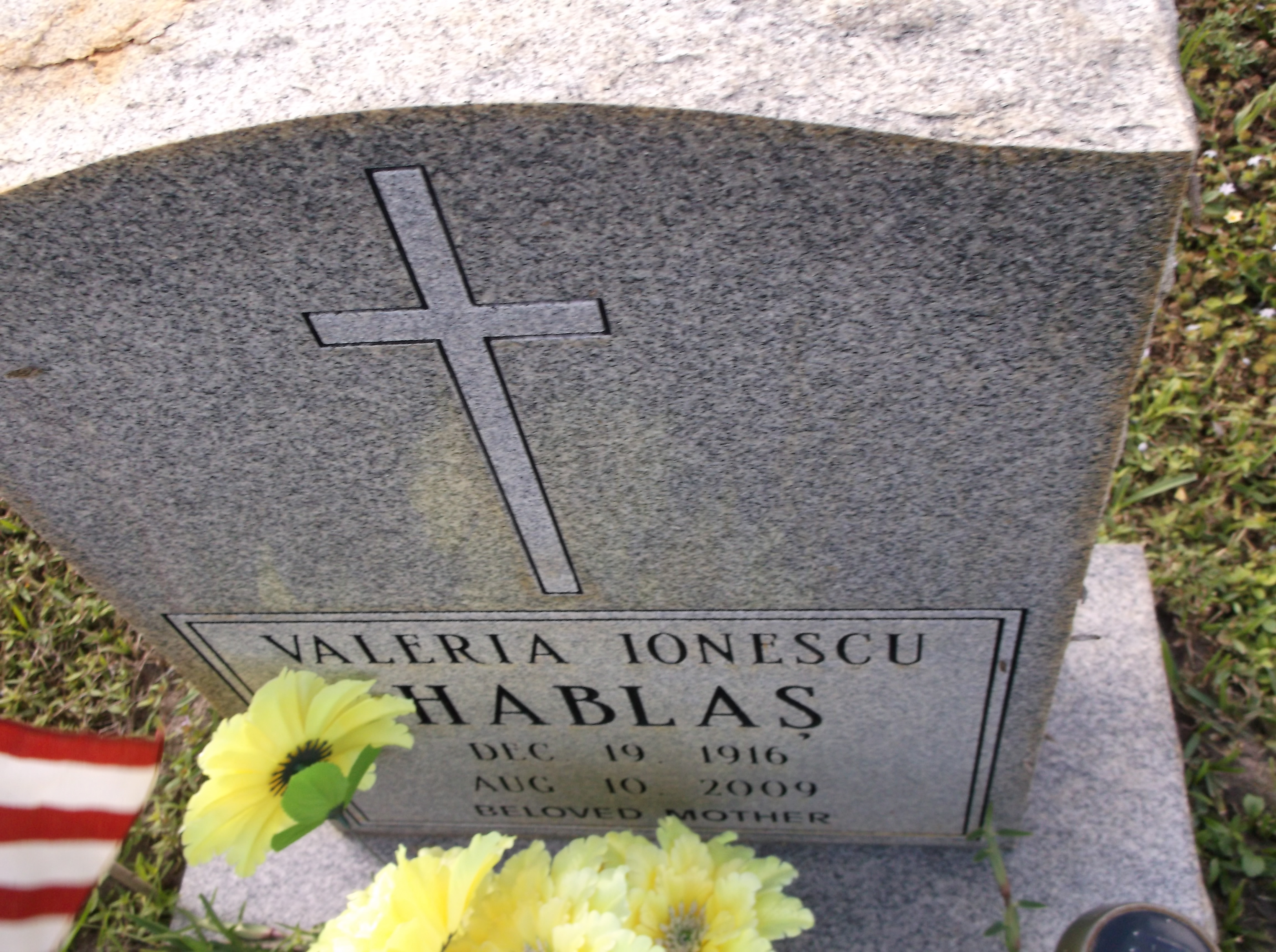 Valeria Ionescu Habla&#351;