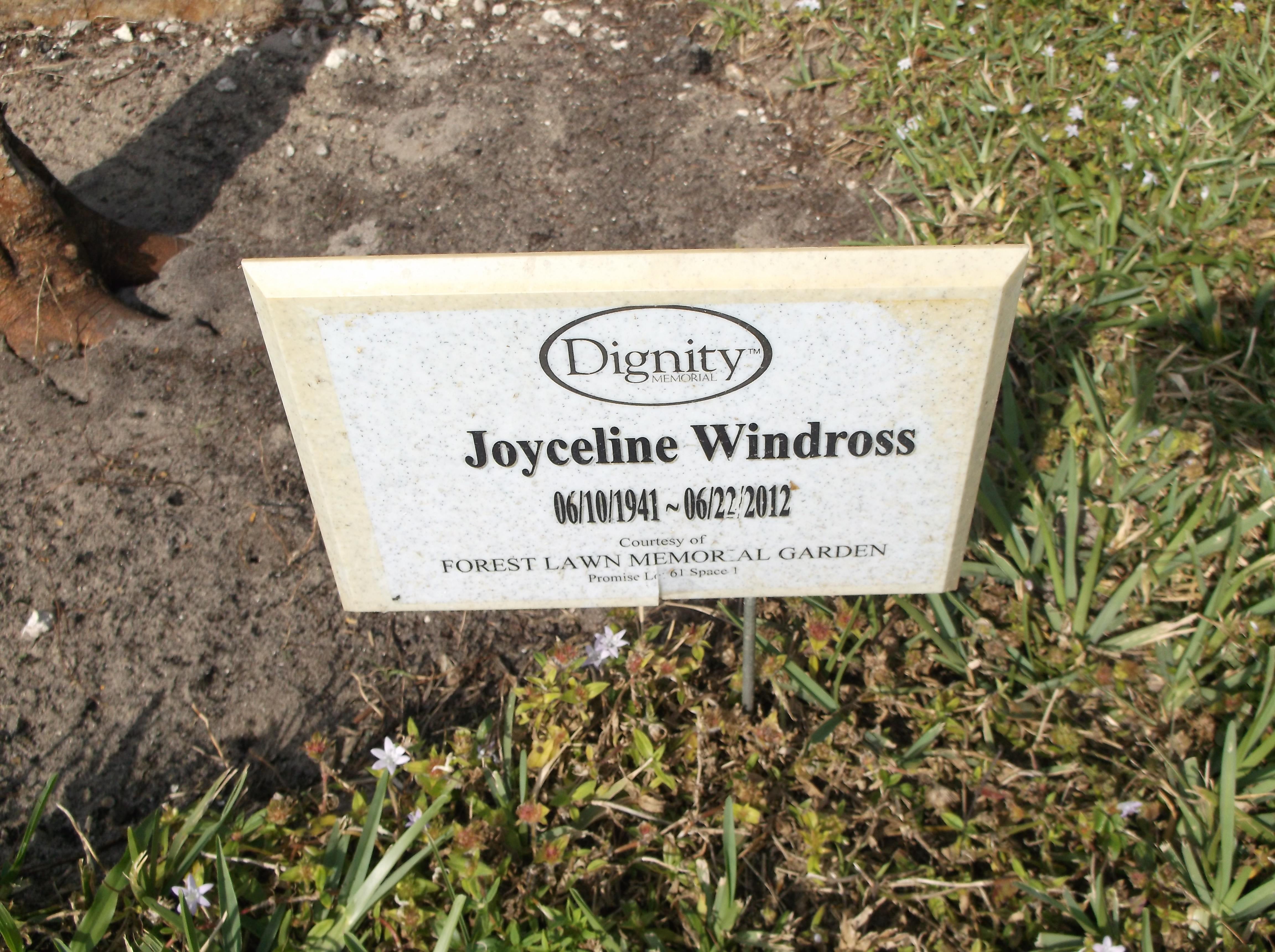 Joyceline Windross