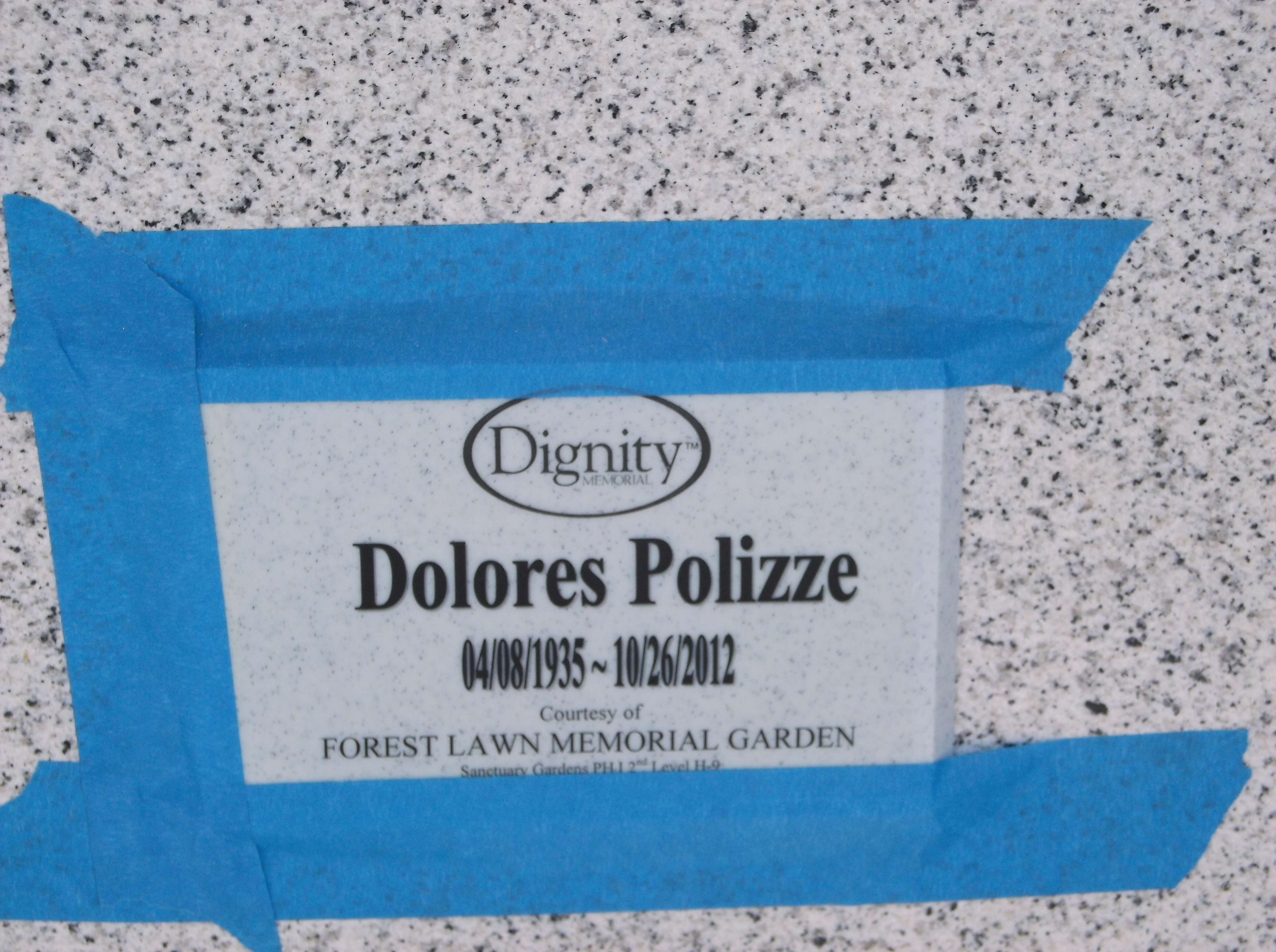 Dolores Polizze
