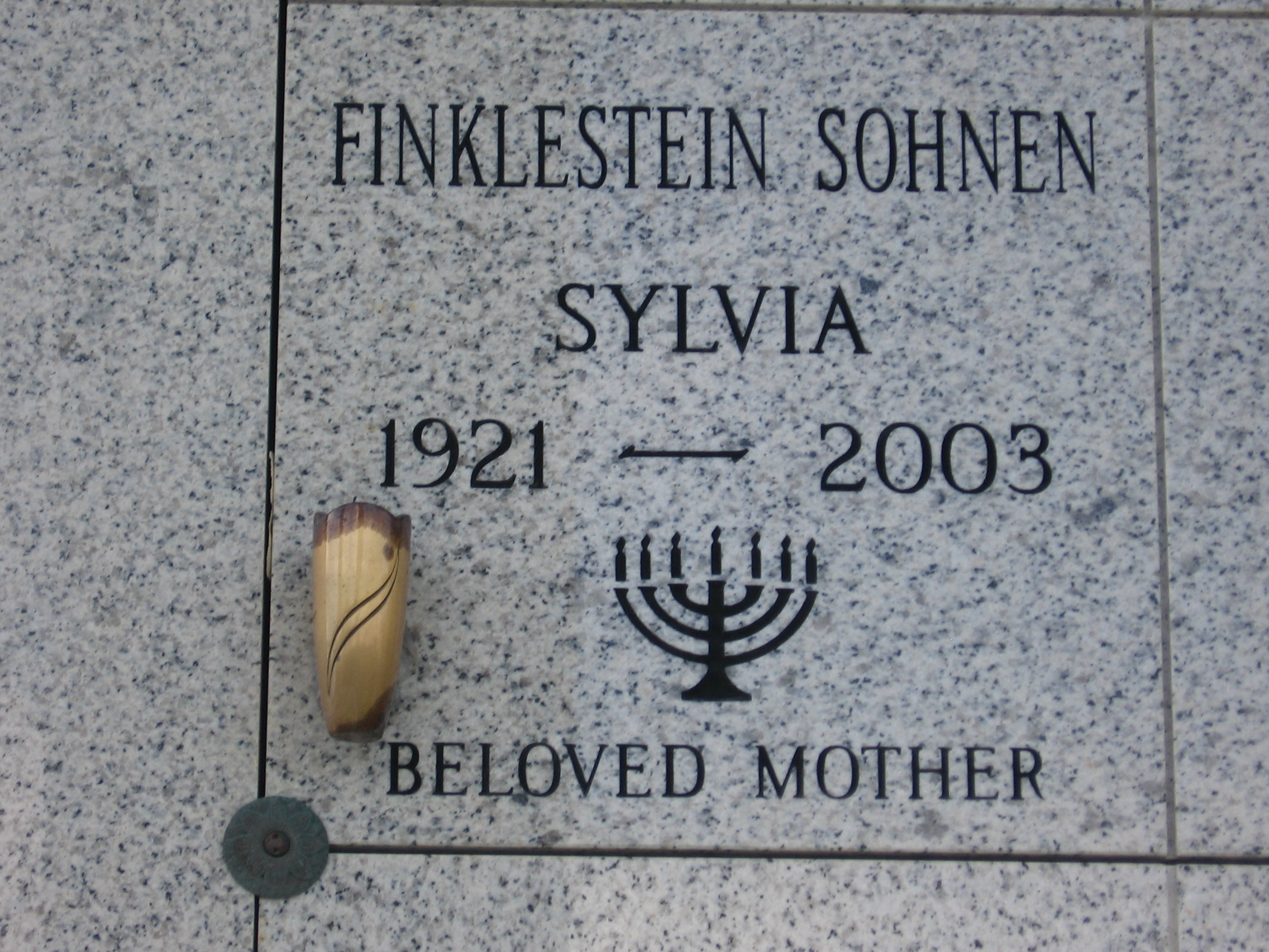 Sylvia Finklestein Sohnen