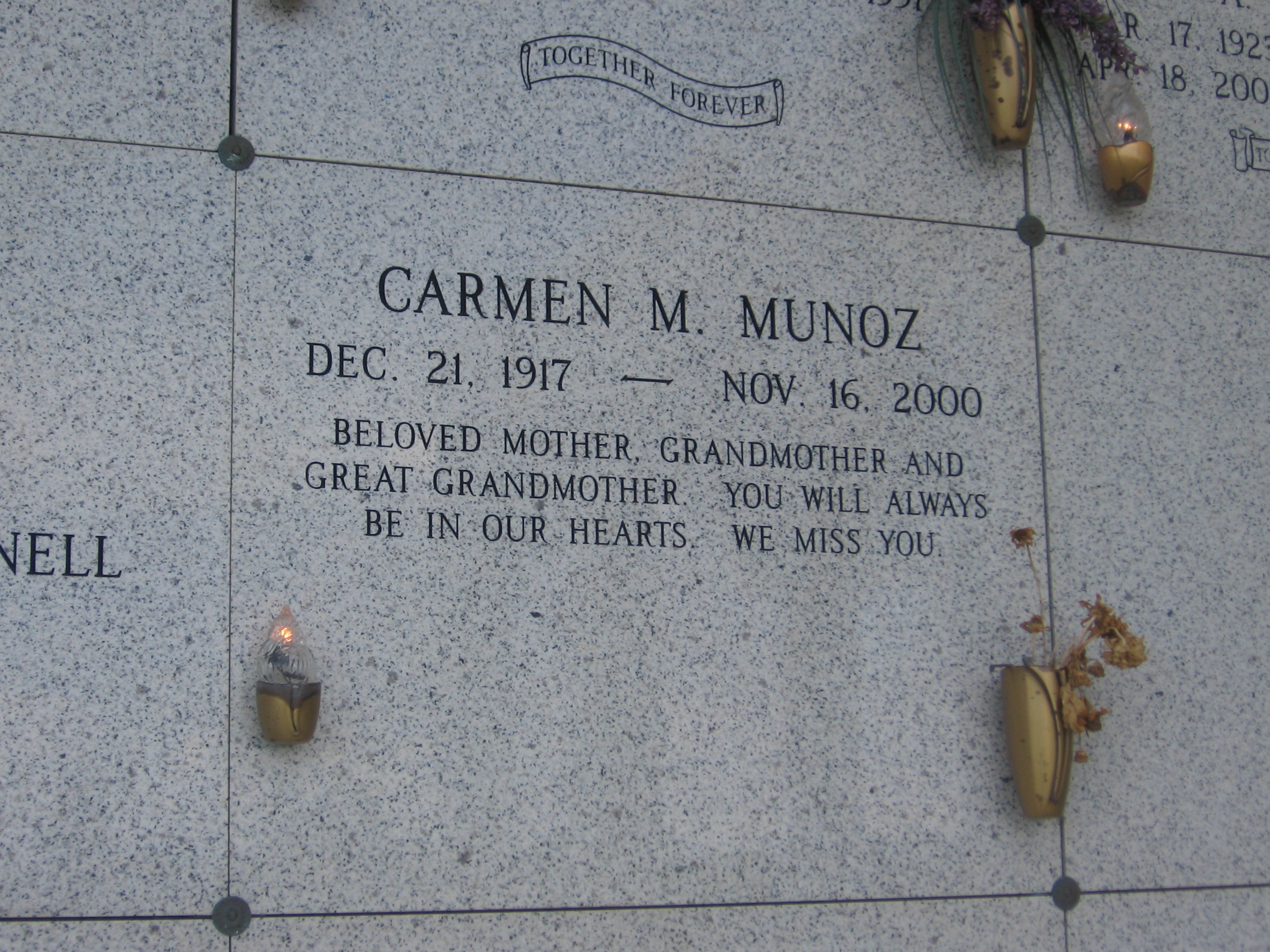 Carmen M Munoz