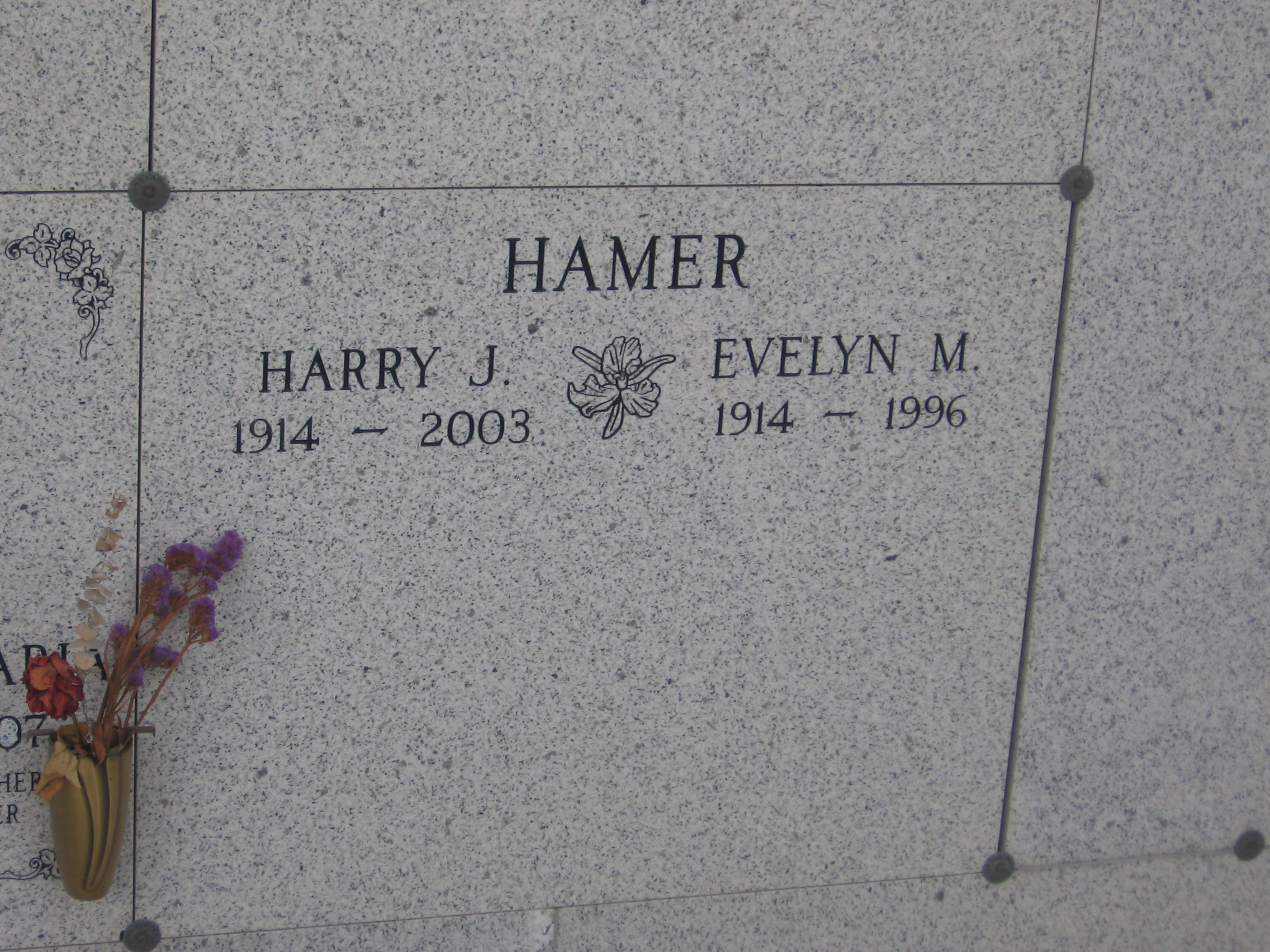 Harry J Hamer