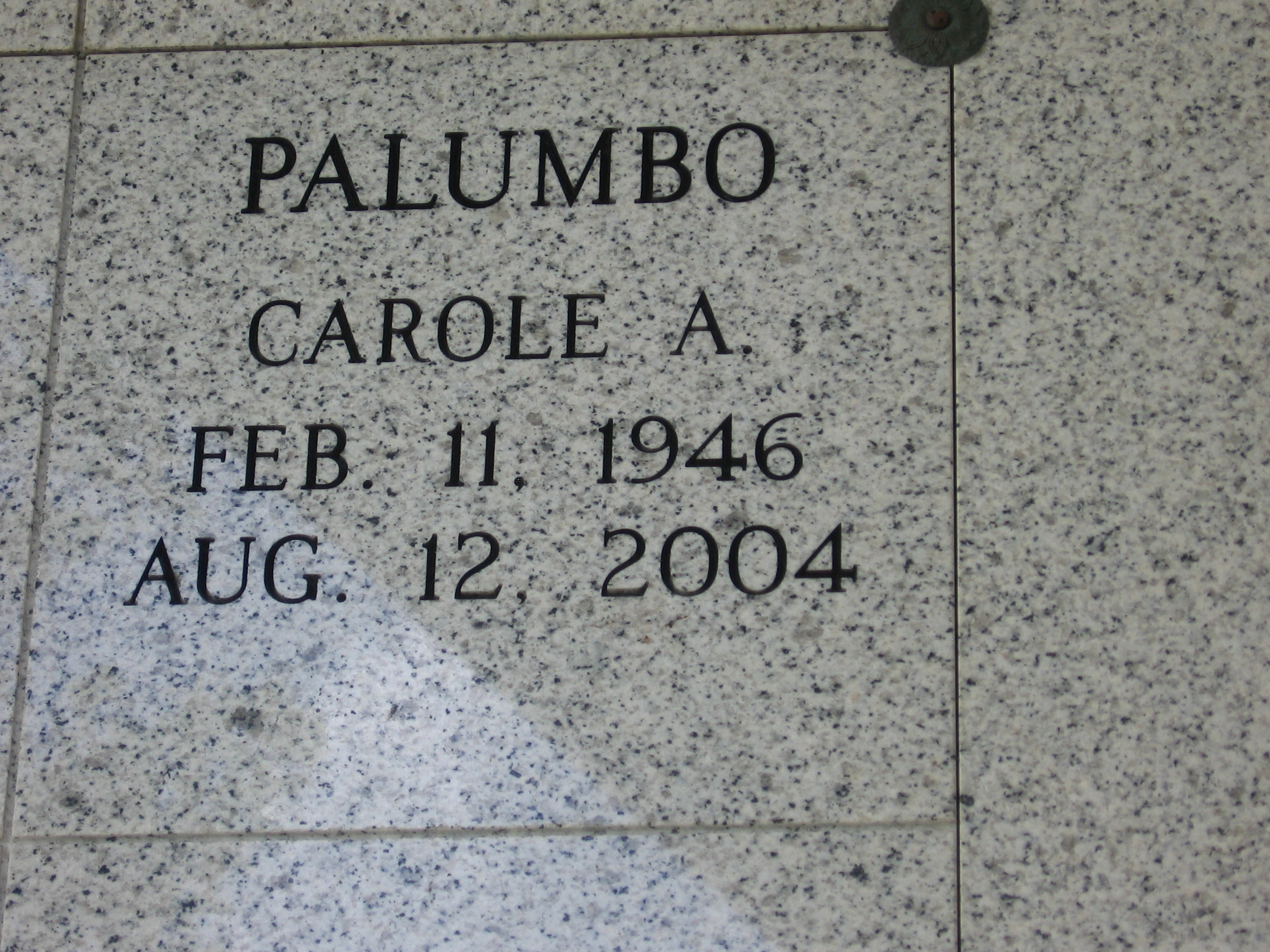 Carole A Palumbo