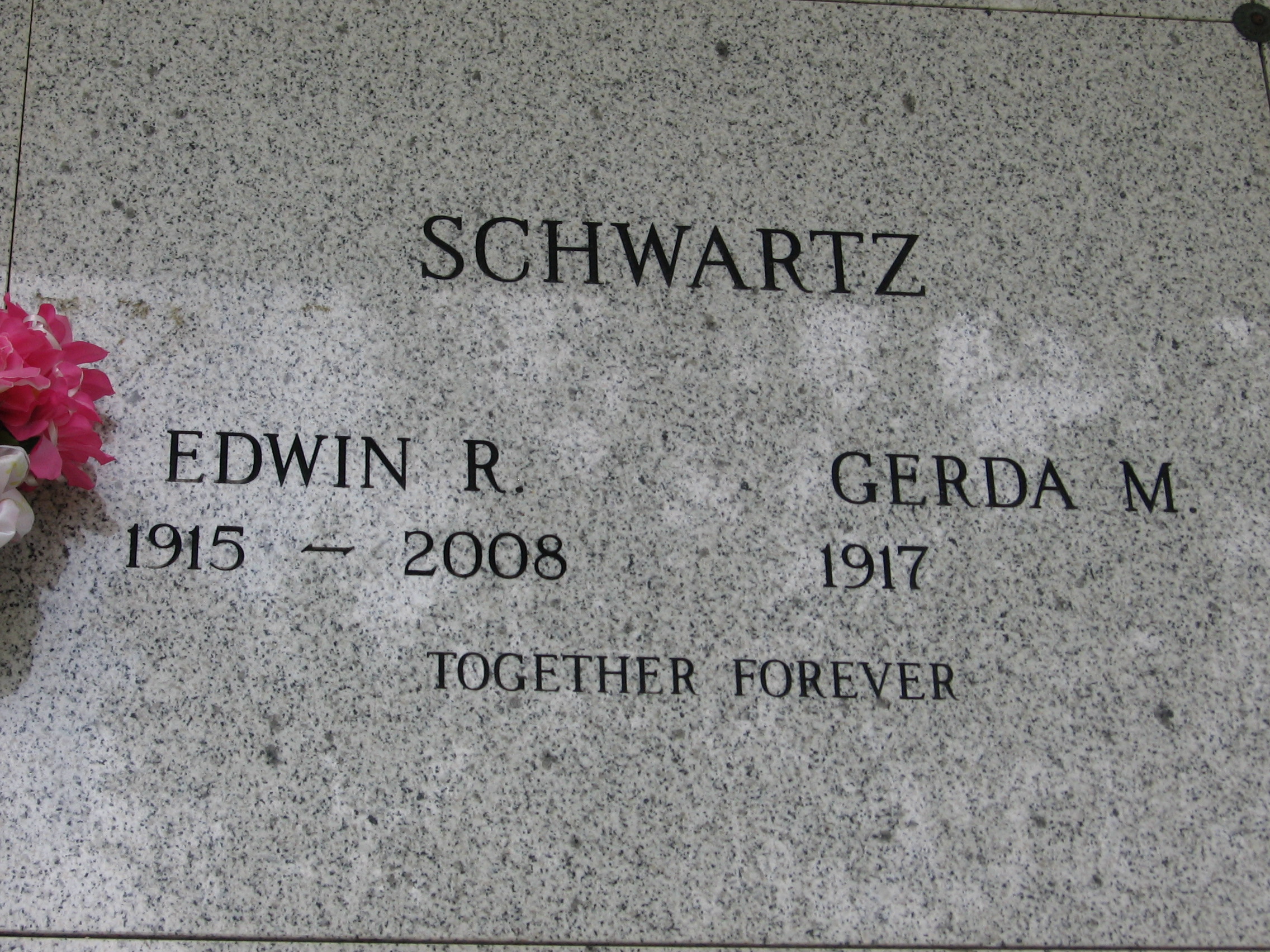 Edwin R Schwartz