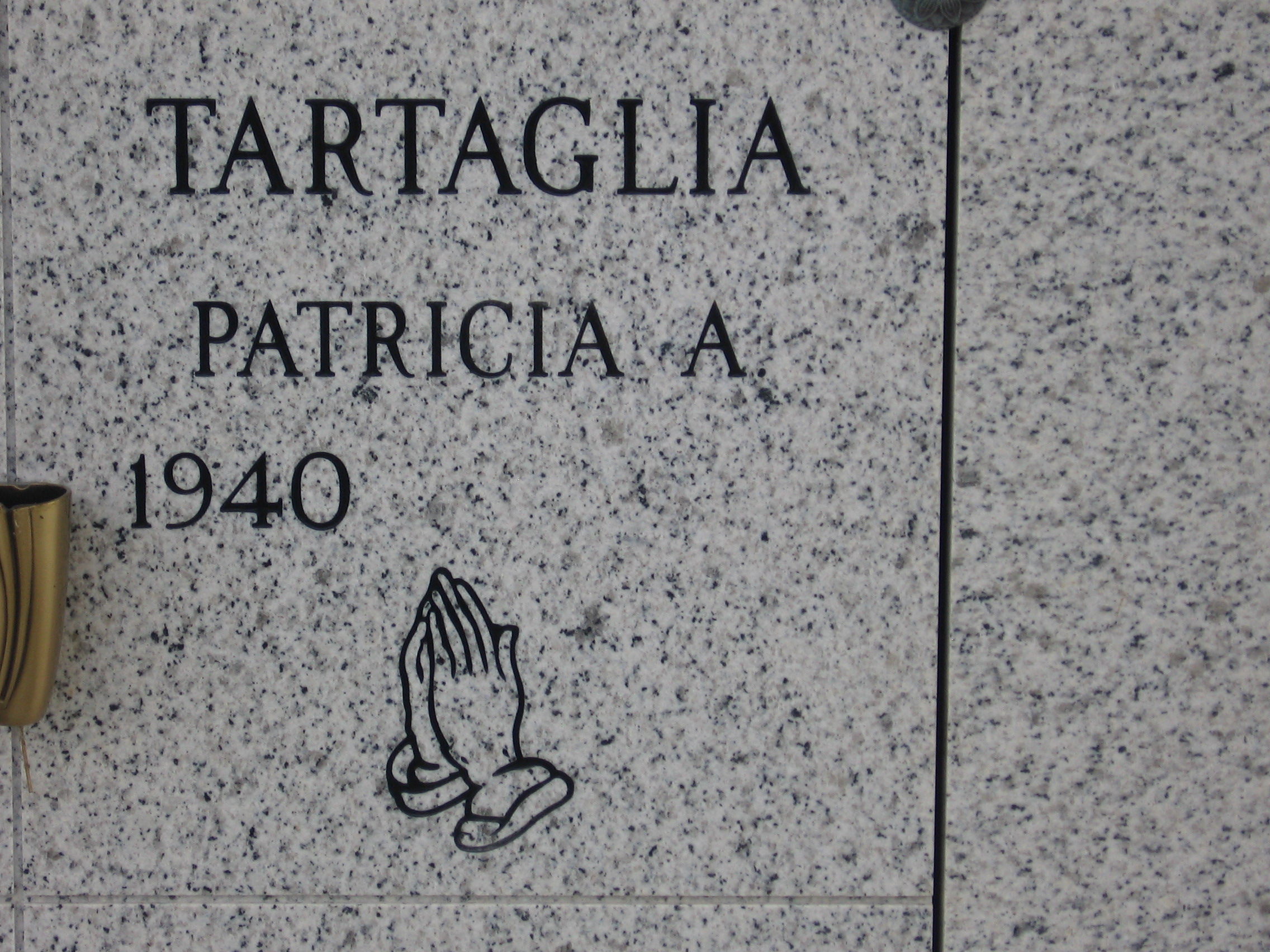 Patricia A Tartaglia