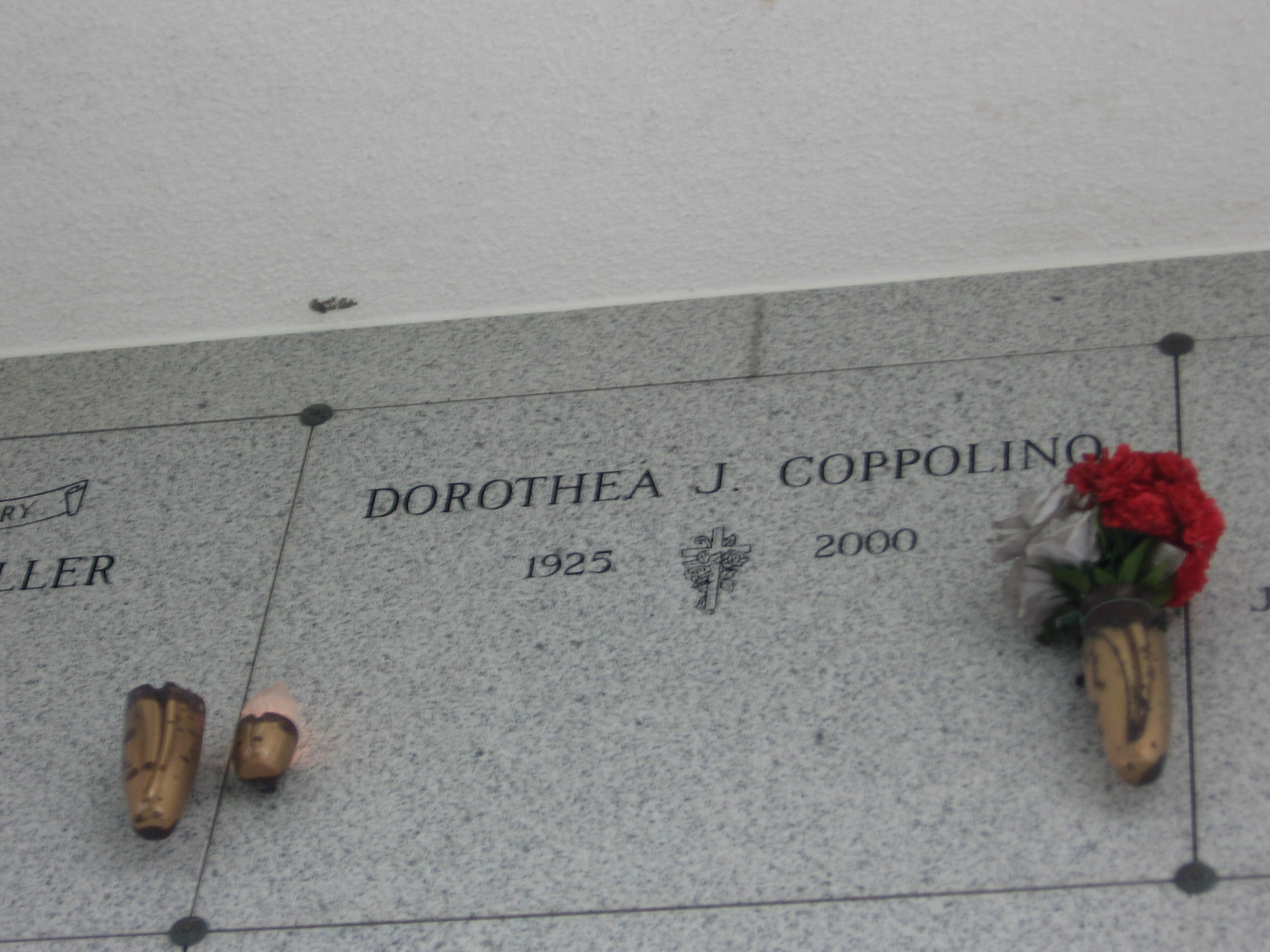 Dorothea J Coppolino