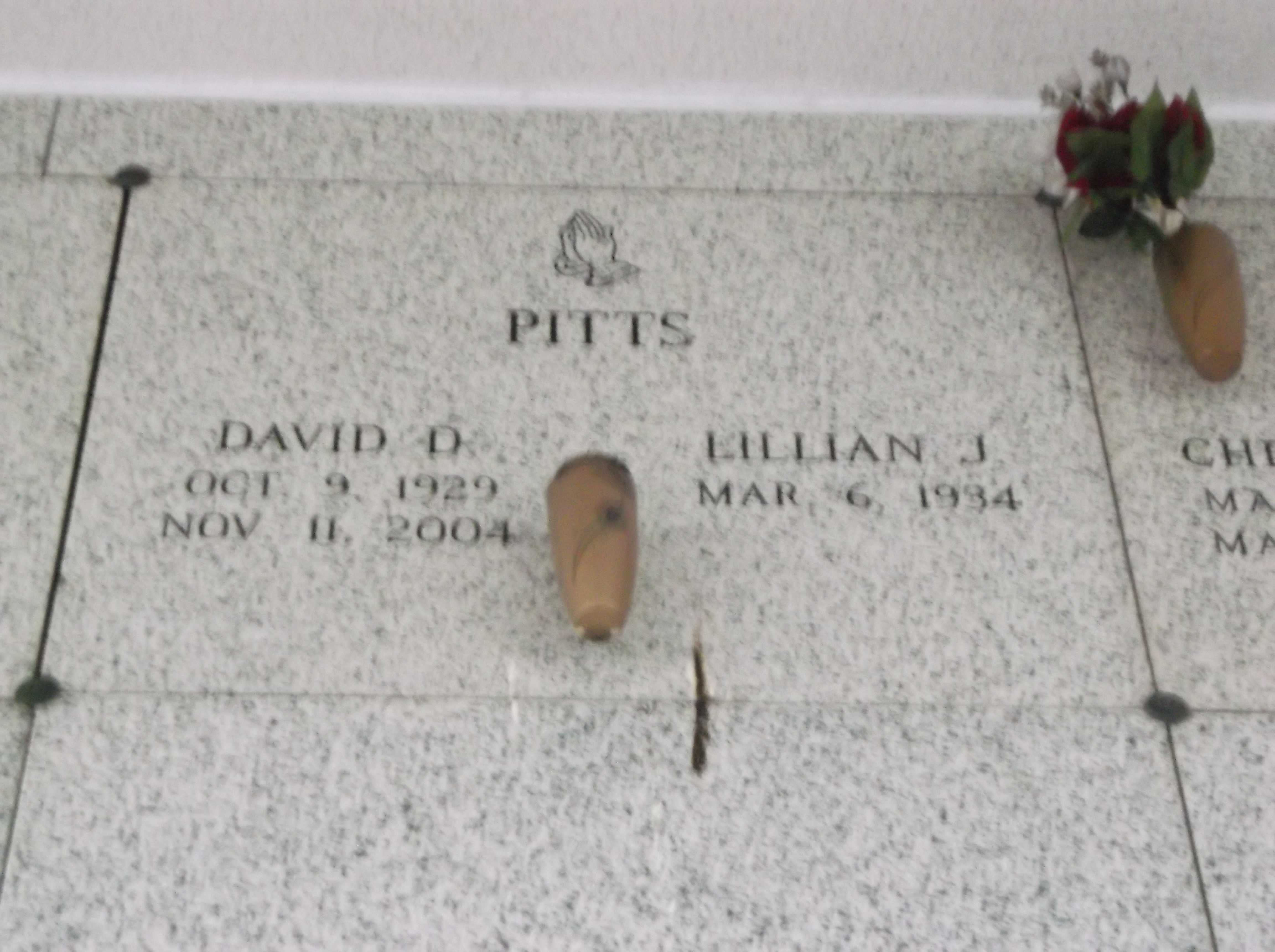David D Pitts