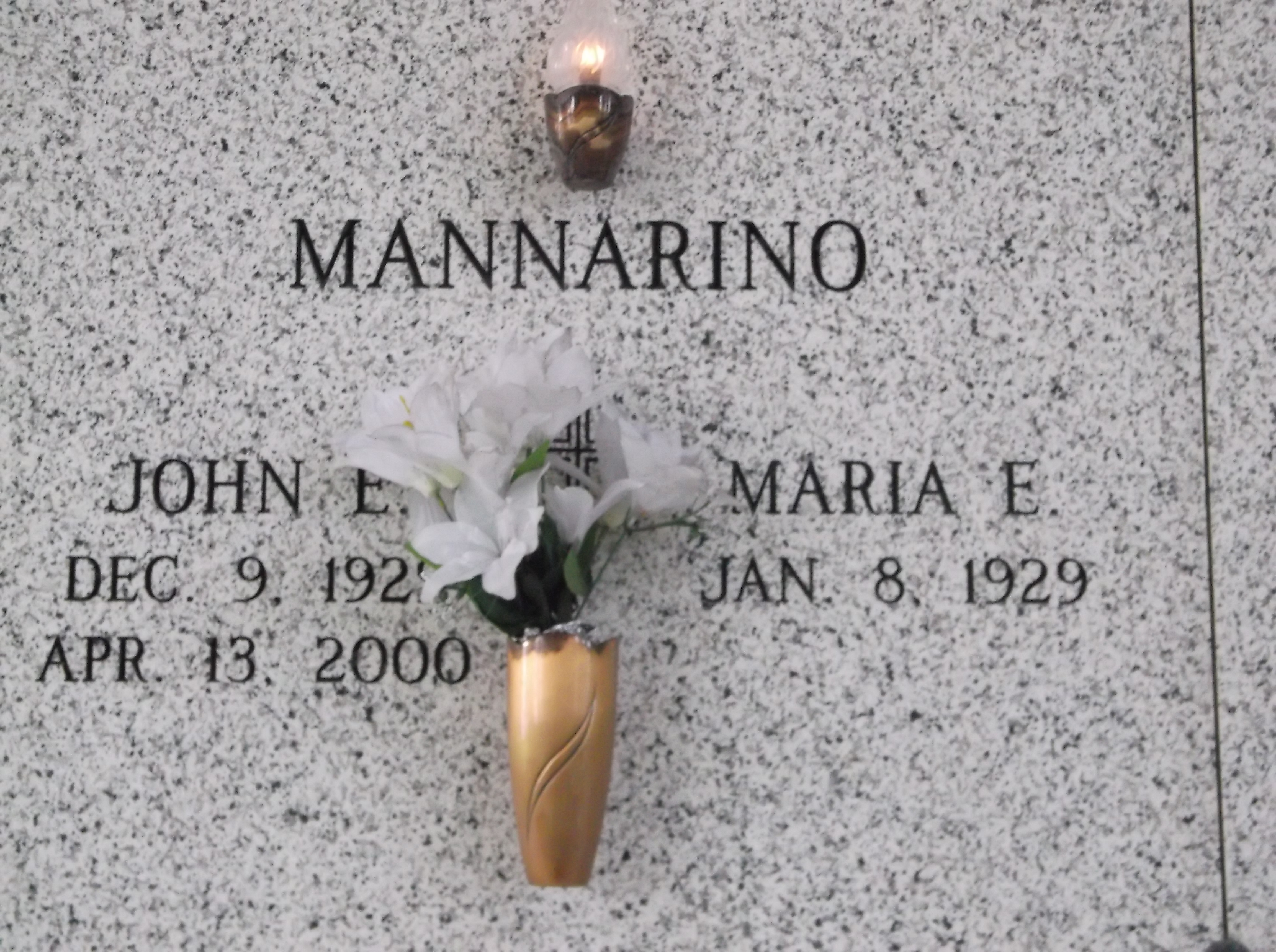 John E Mannarino