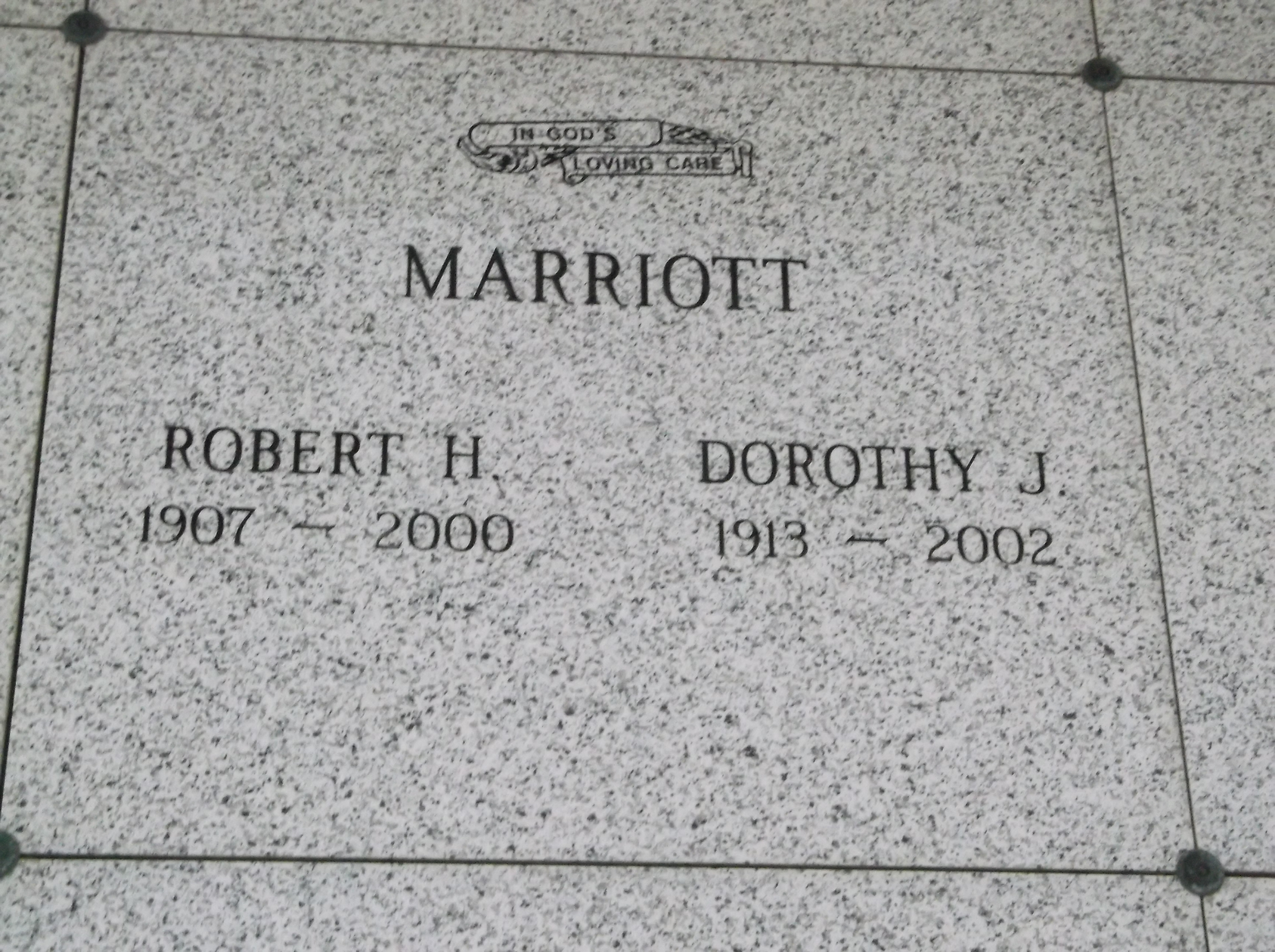 Dorothy J Marriott