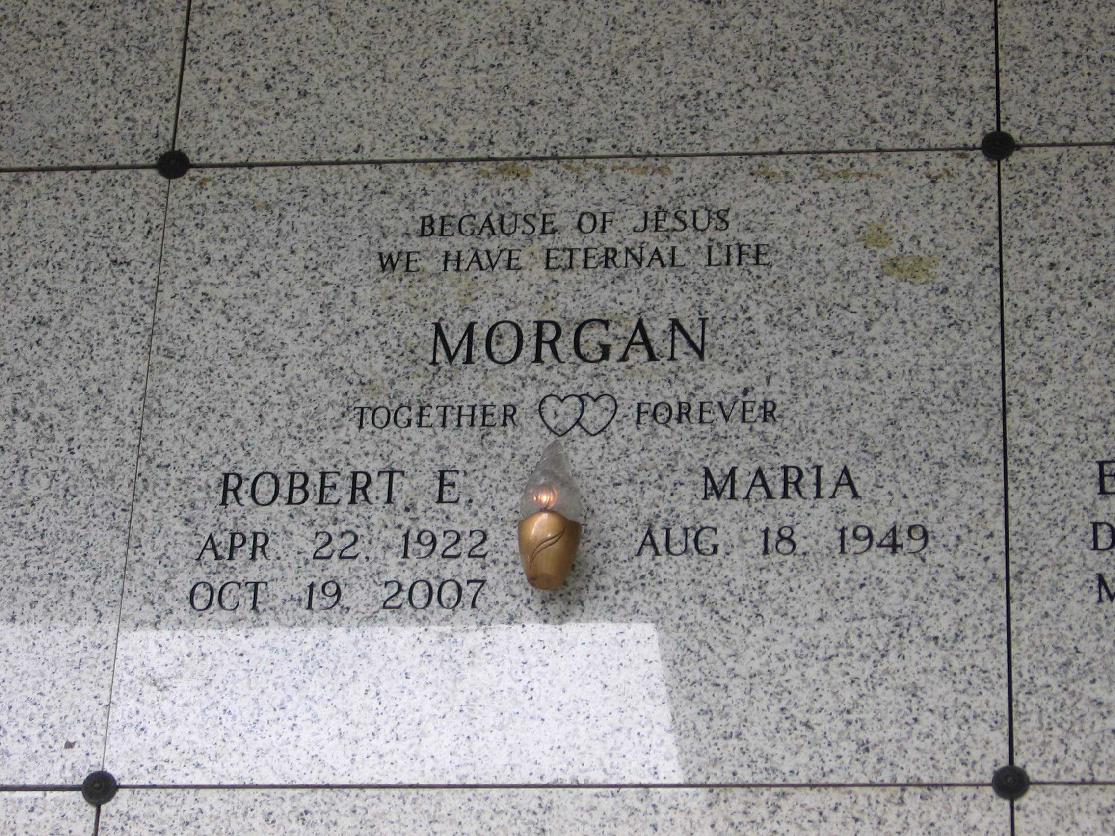 Robert E Morgan