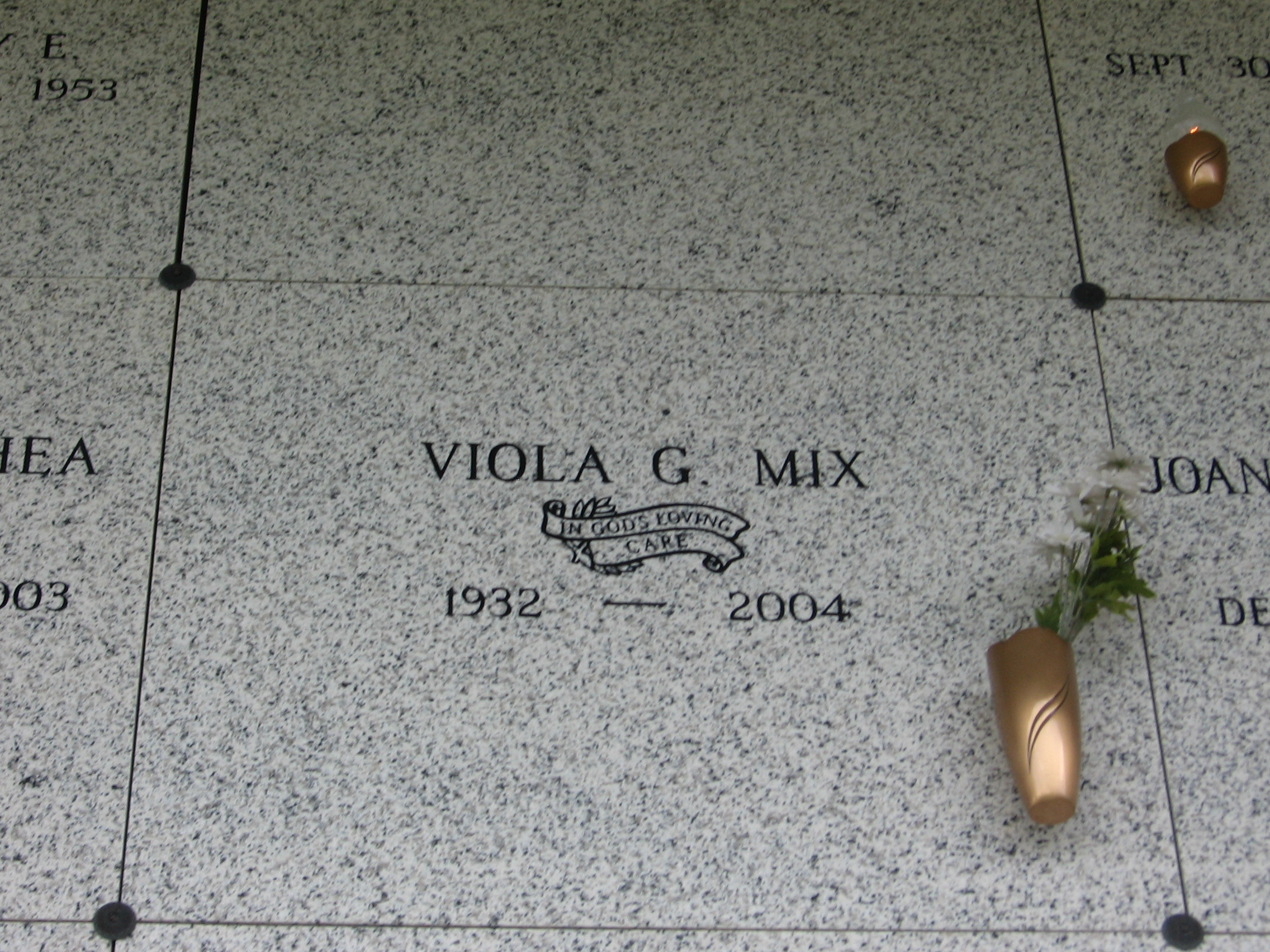 Viola G Mix