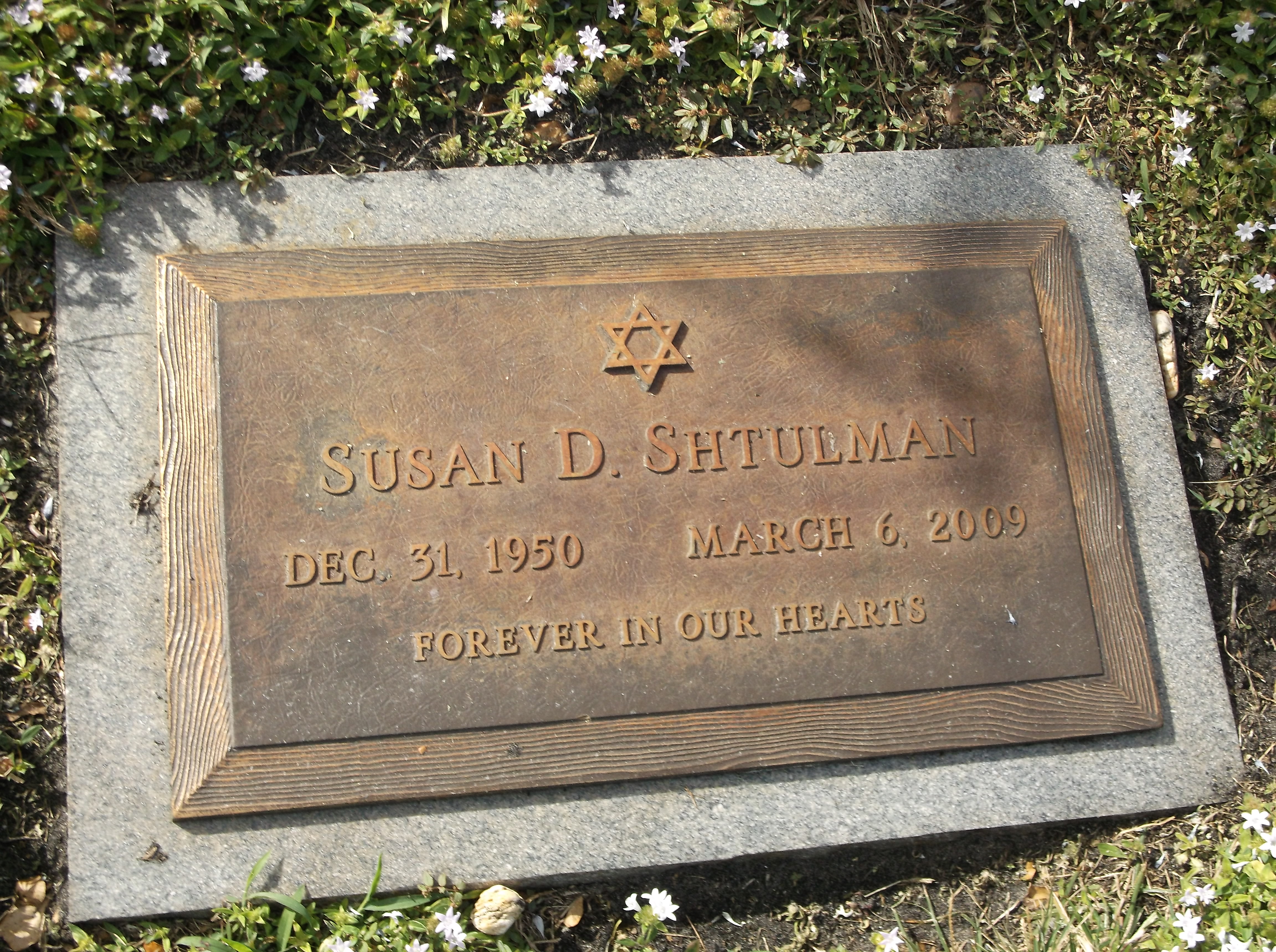 Susan D Shtulman