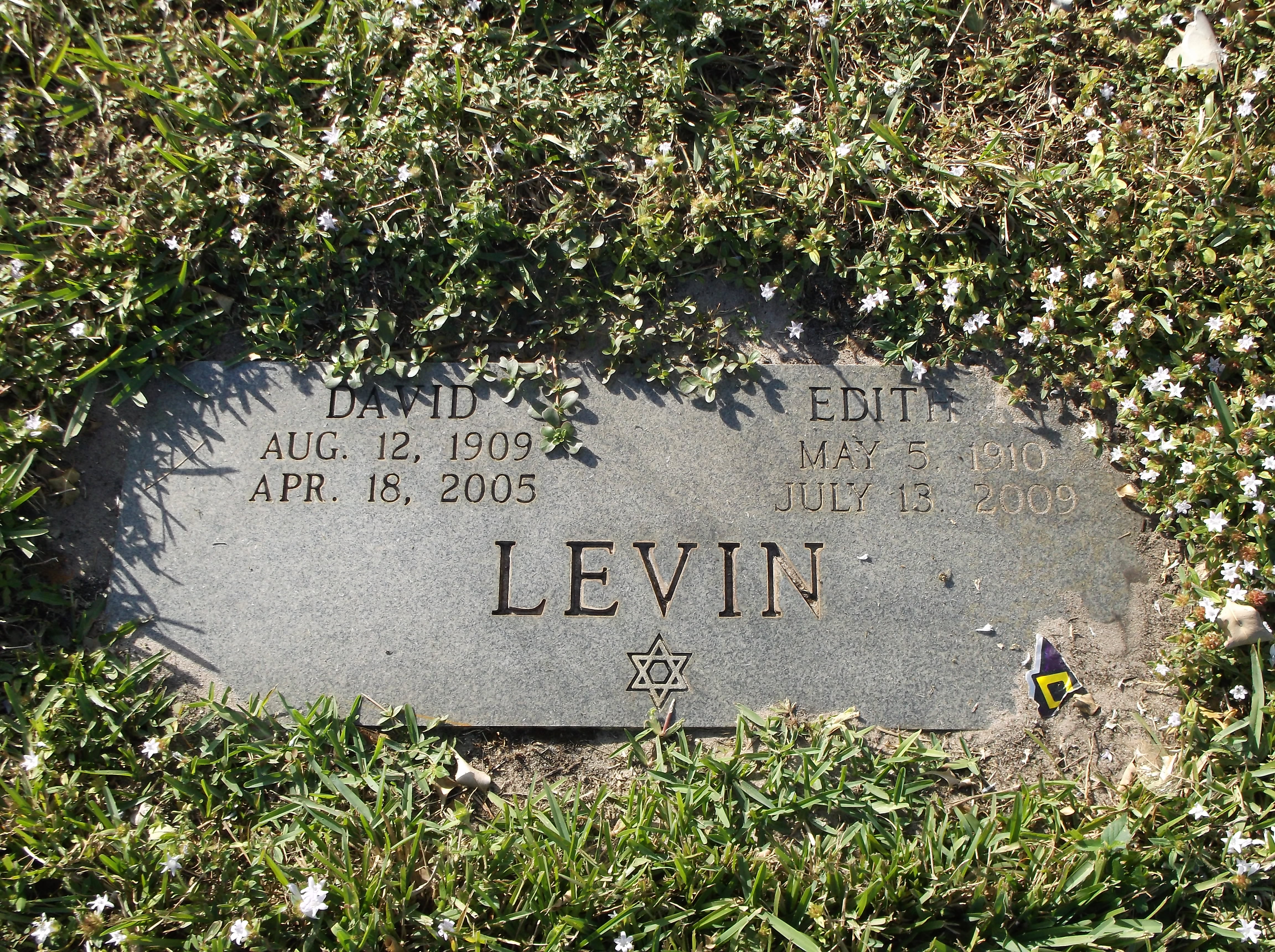 Edith N Levin