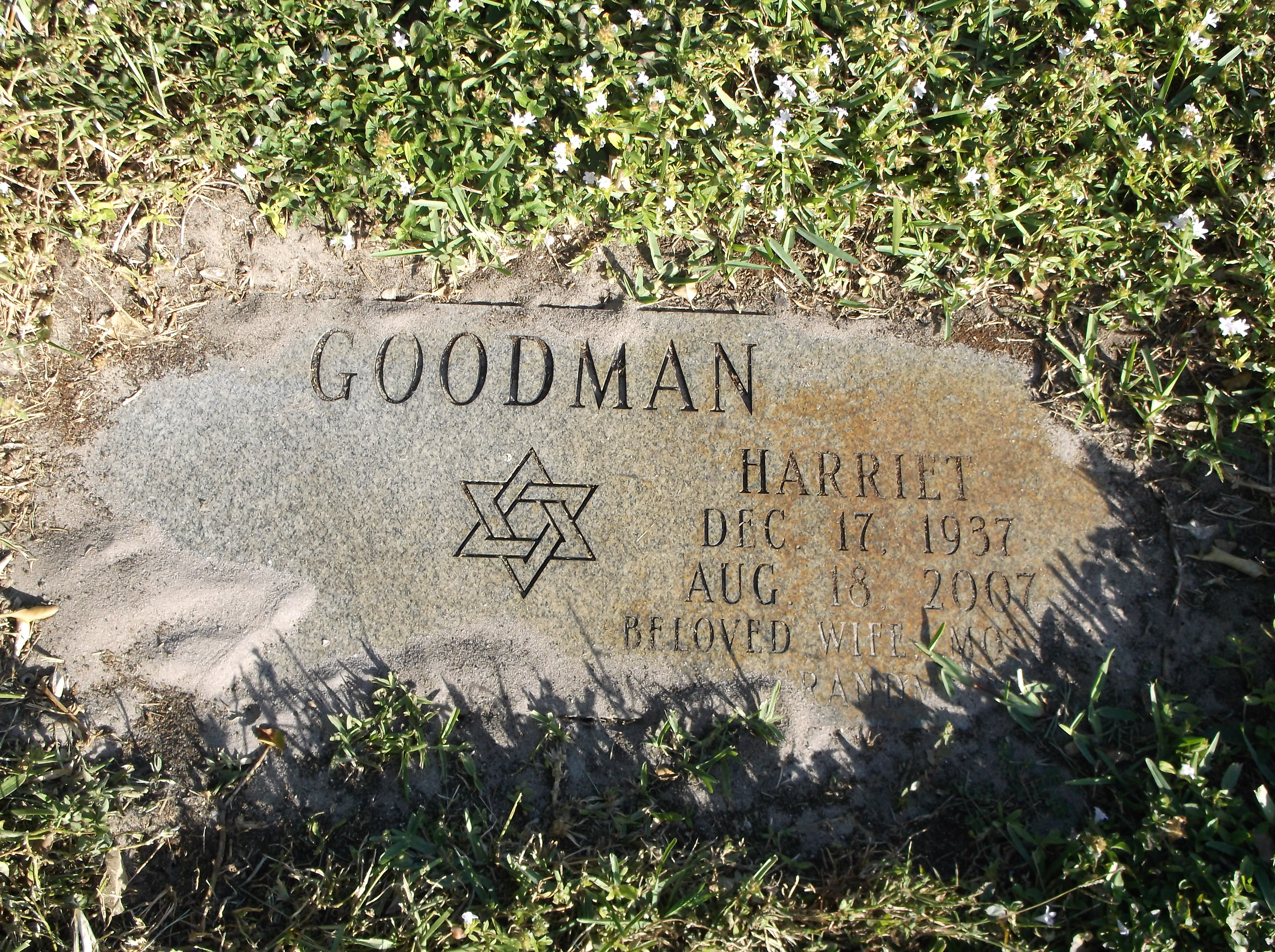 Harriet Goodman