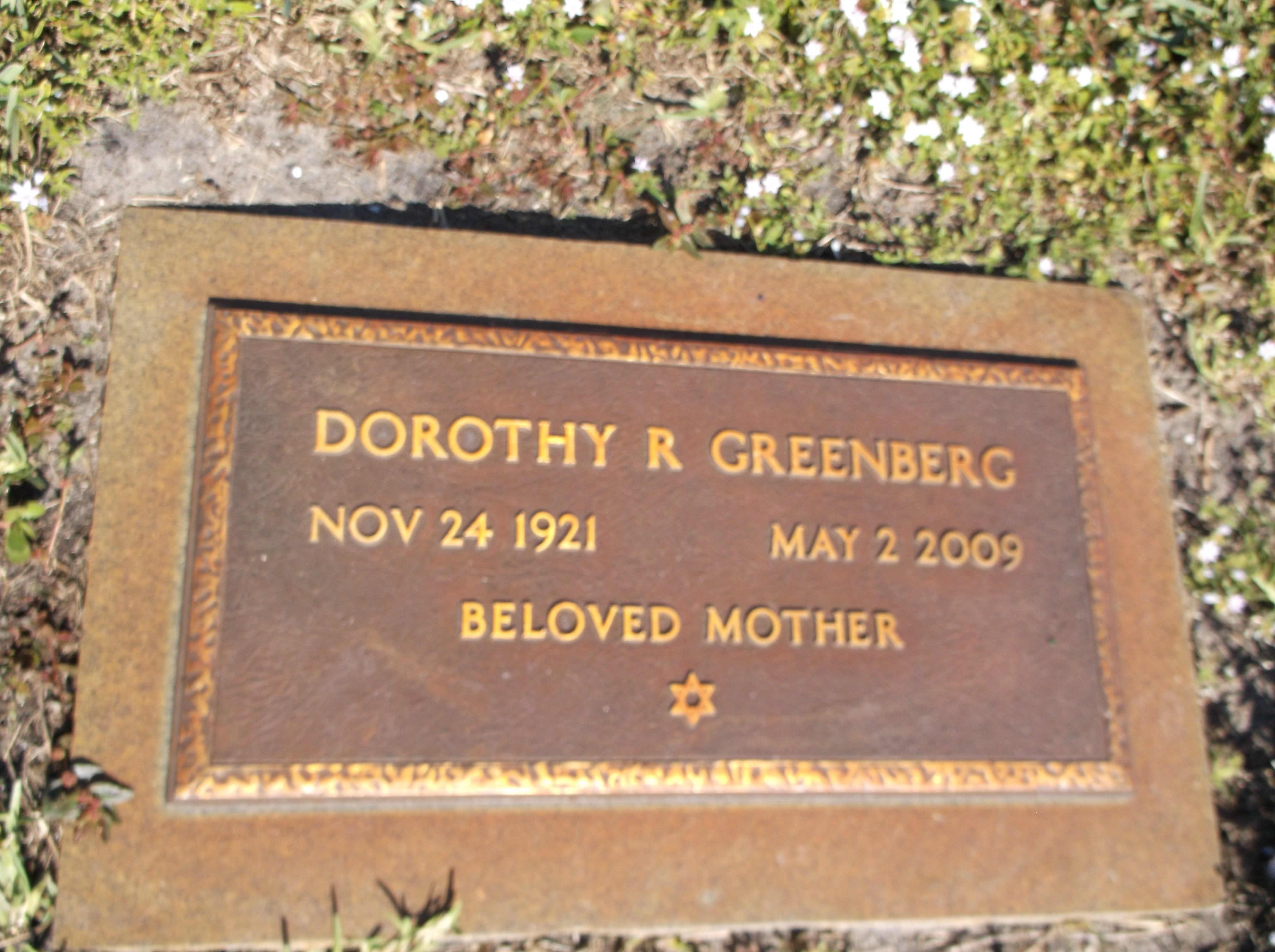 Dorothy R Greenberg