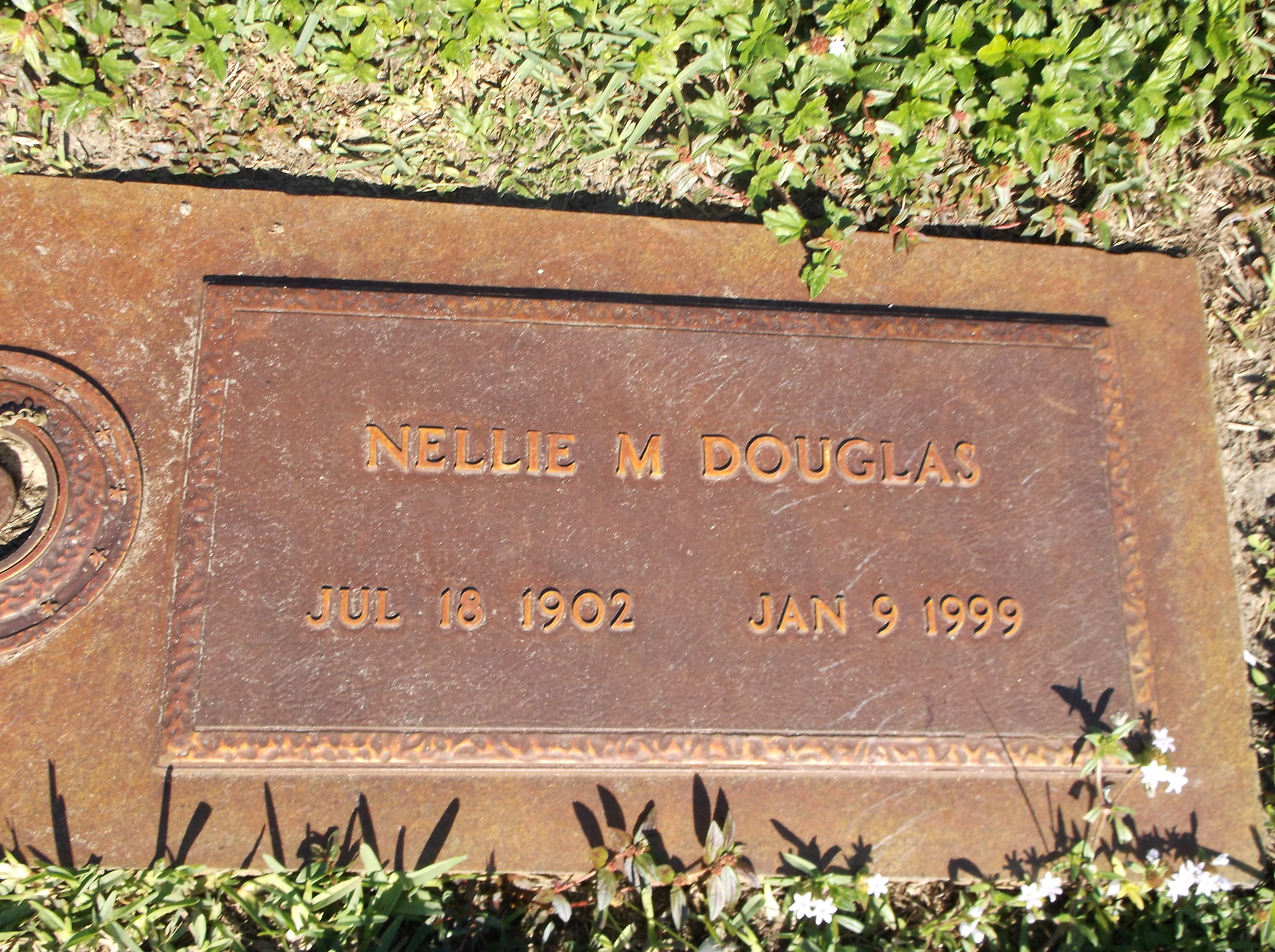 Nellie M Douglas